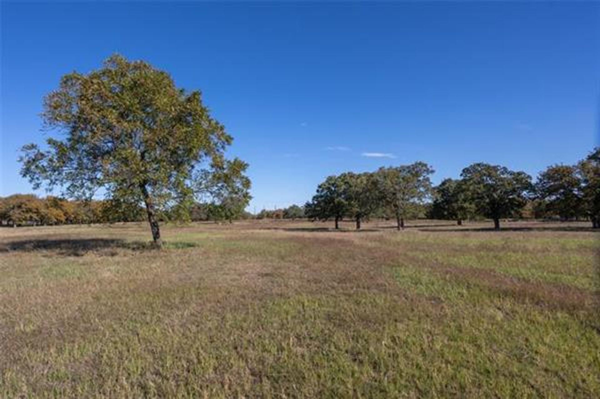 House in Aledo, Texas 10771378