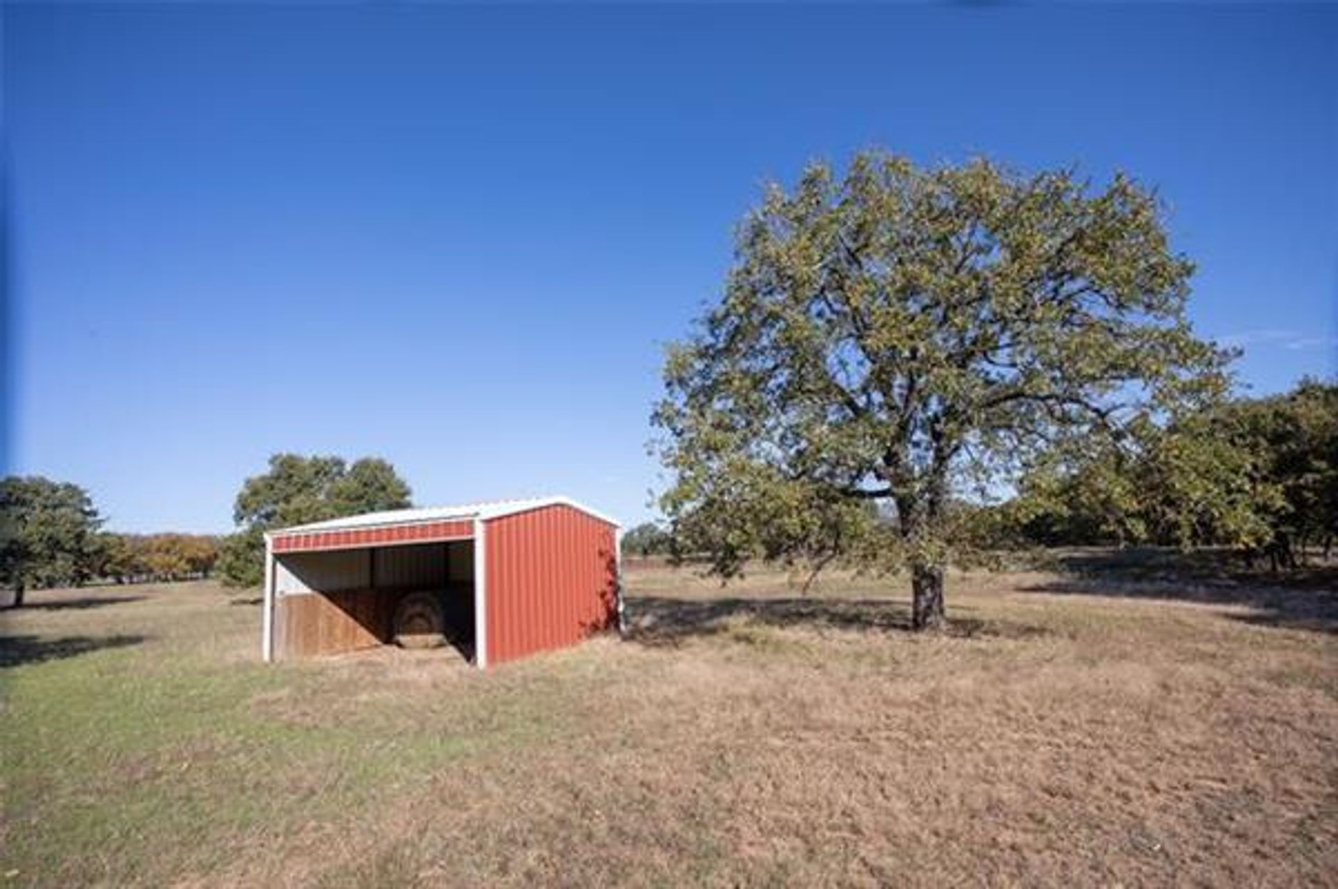 House in Aledo, Texas 10771378