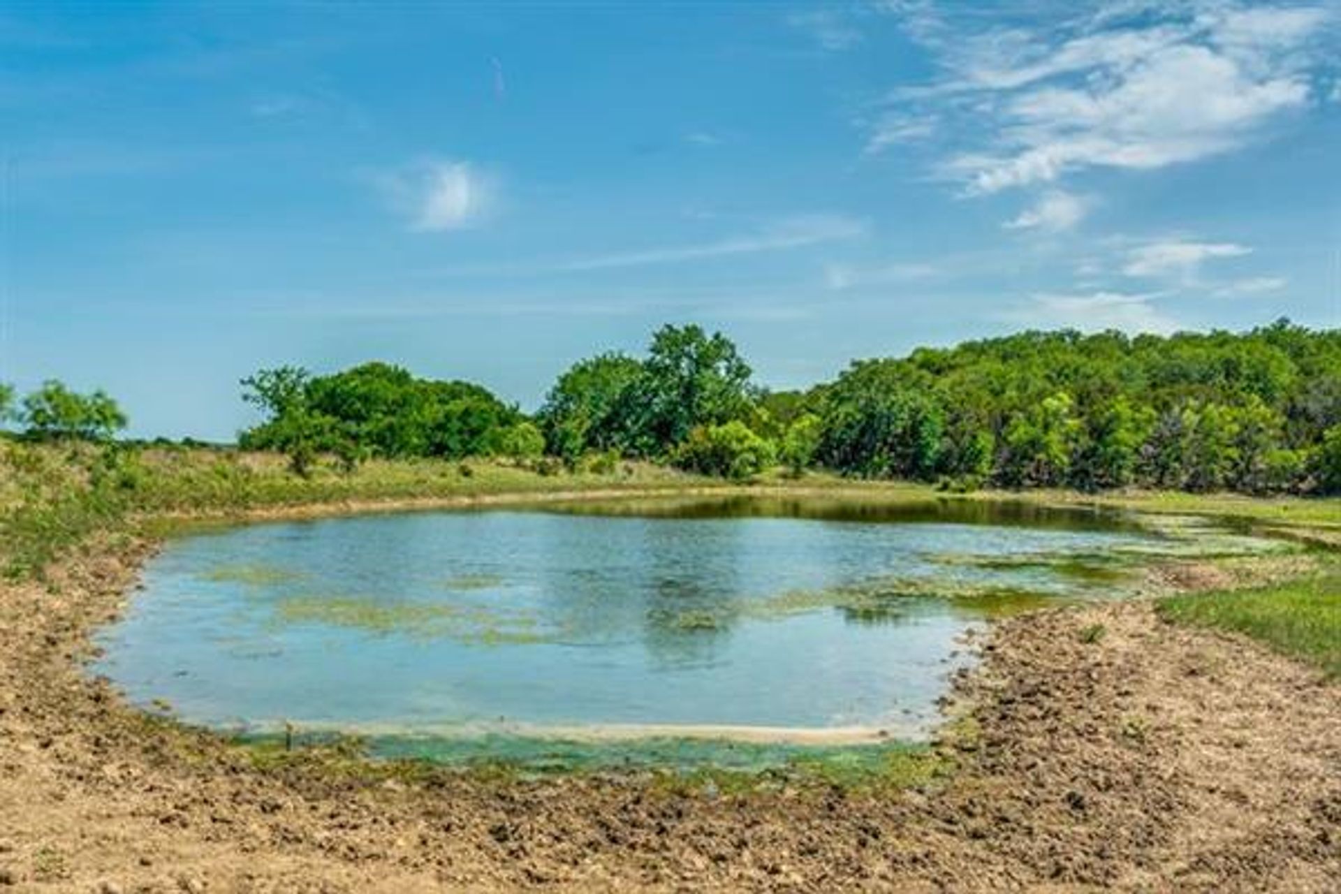 房子 在 Mineral Wells, Texas 10771491