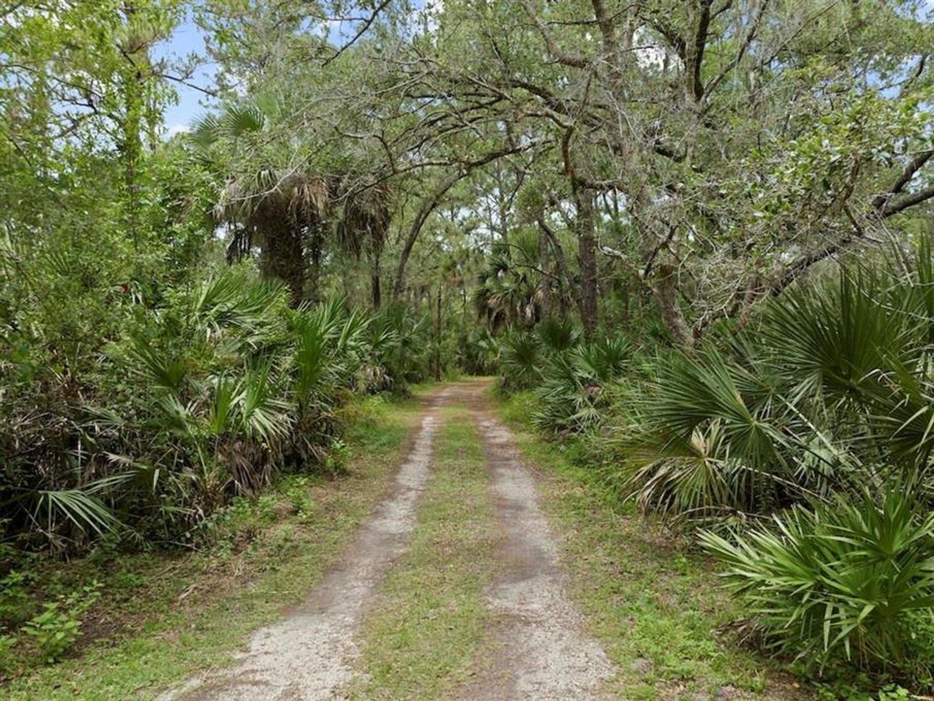 Casa nel Fellsmere, Florida 10771583