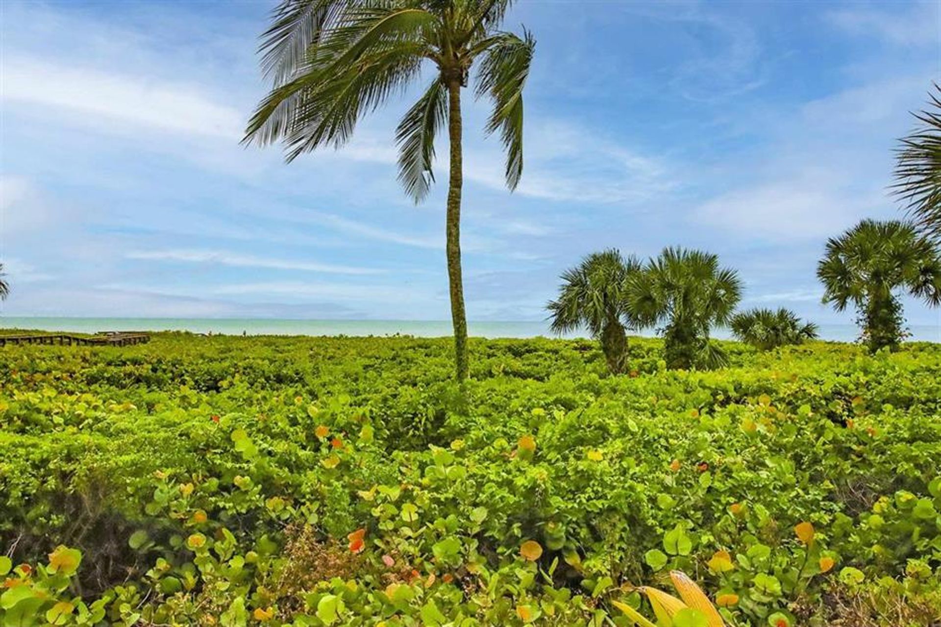 Borettslag i Sanibel, Florida 10771736