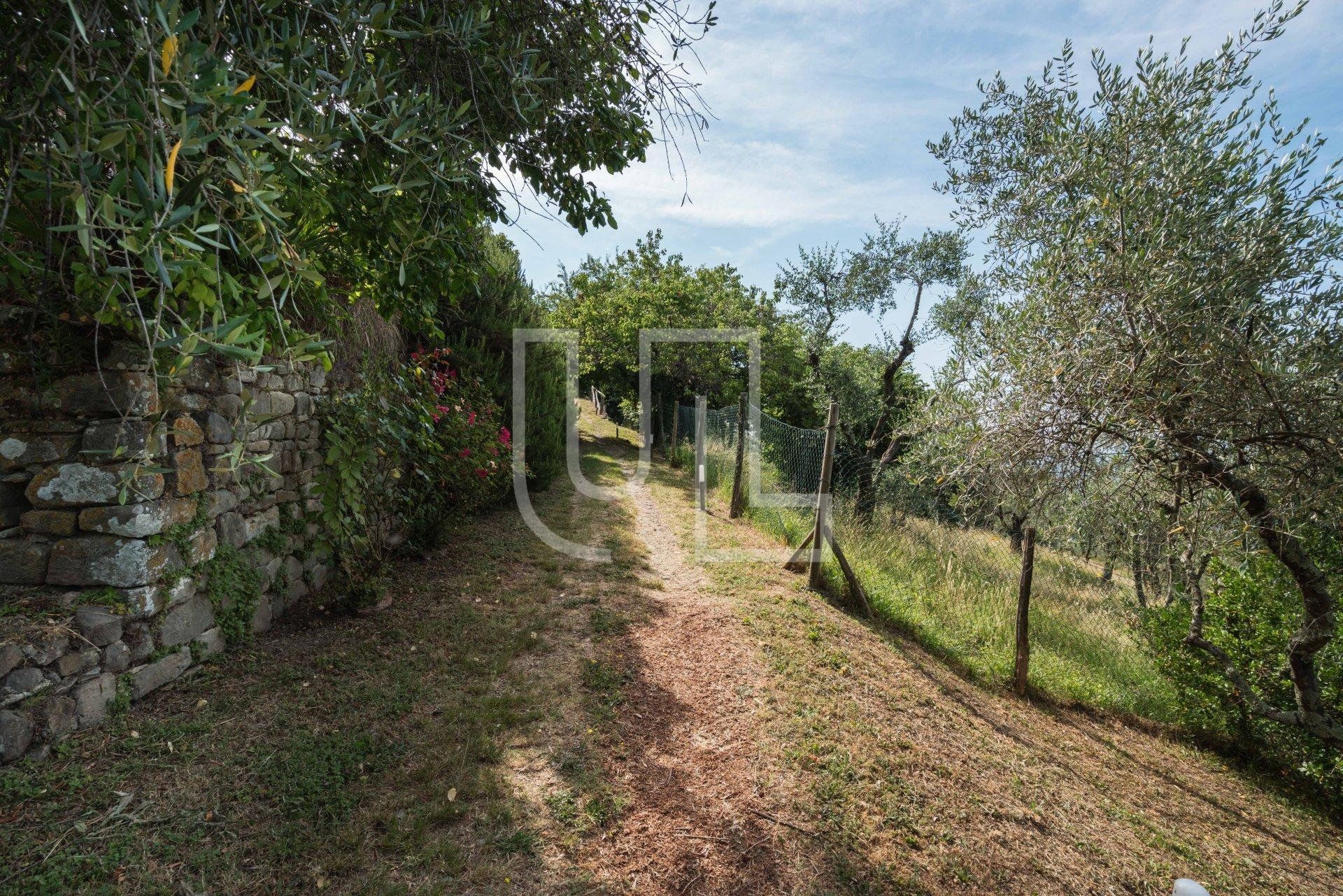 House in Lucca, Toscana 10773038