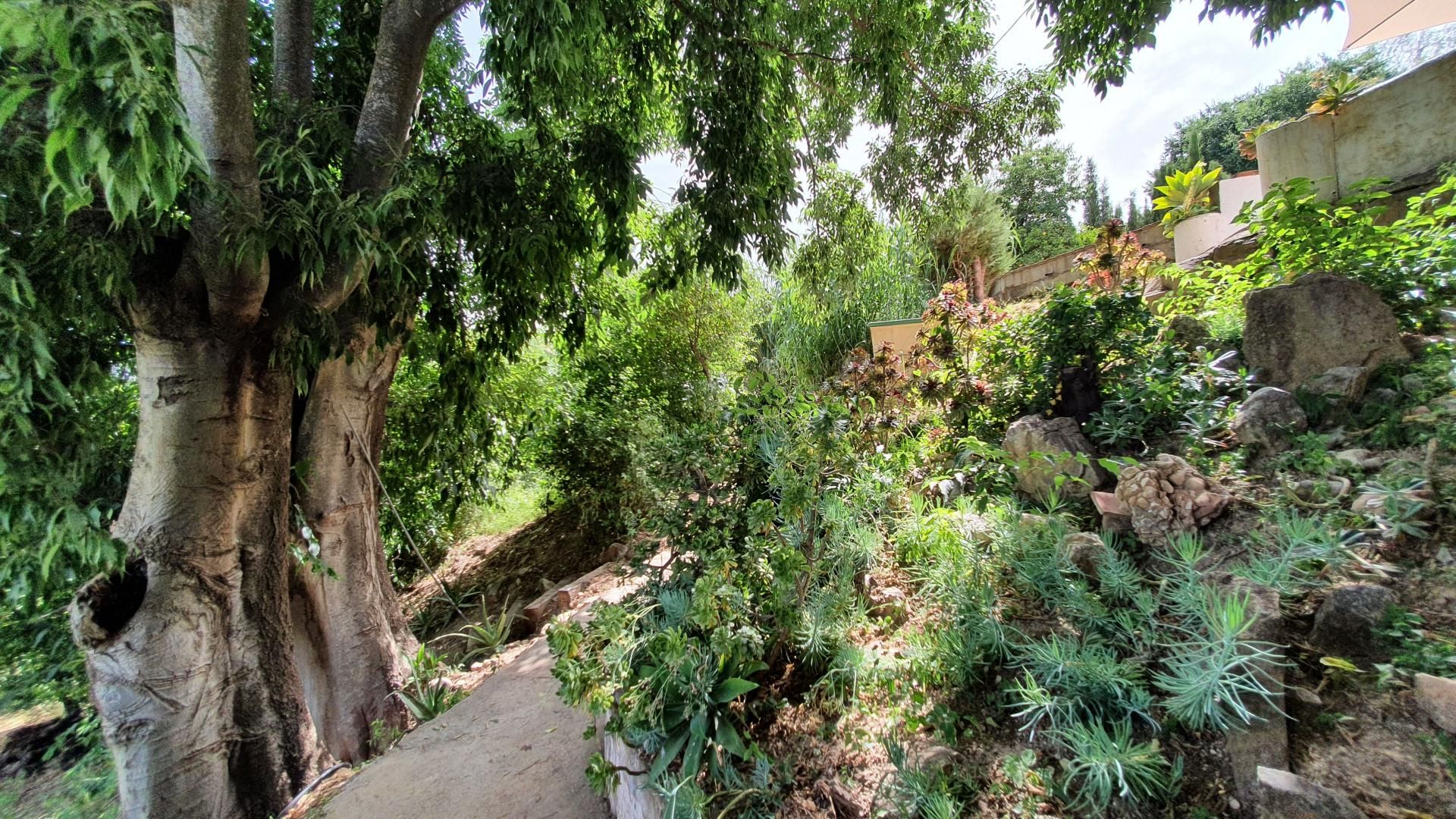 casa en Alhaurín el Grande, Andalucía 10773193