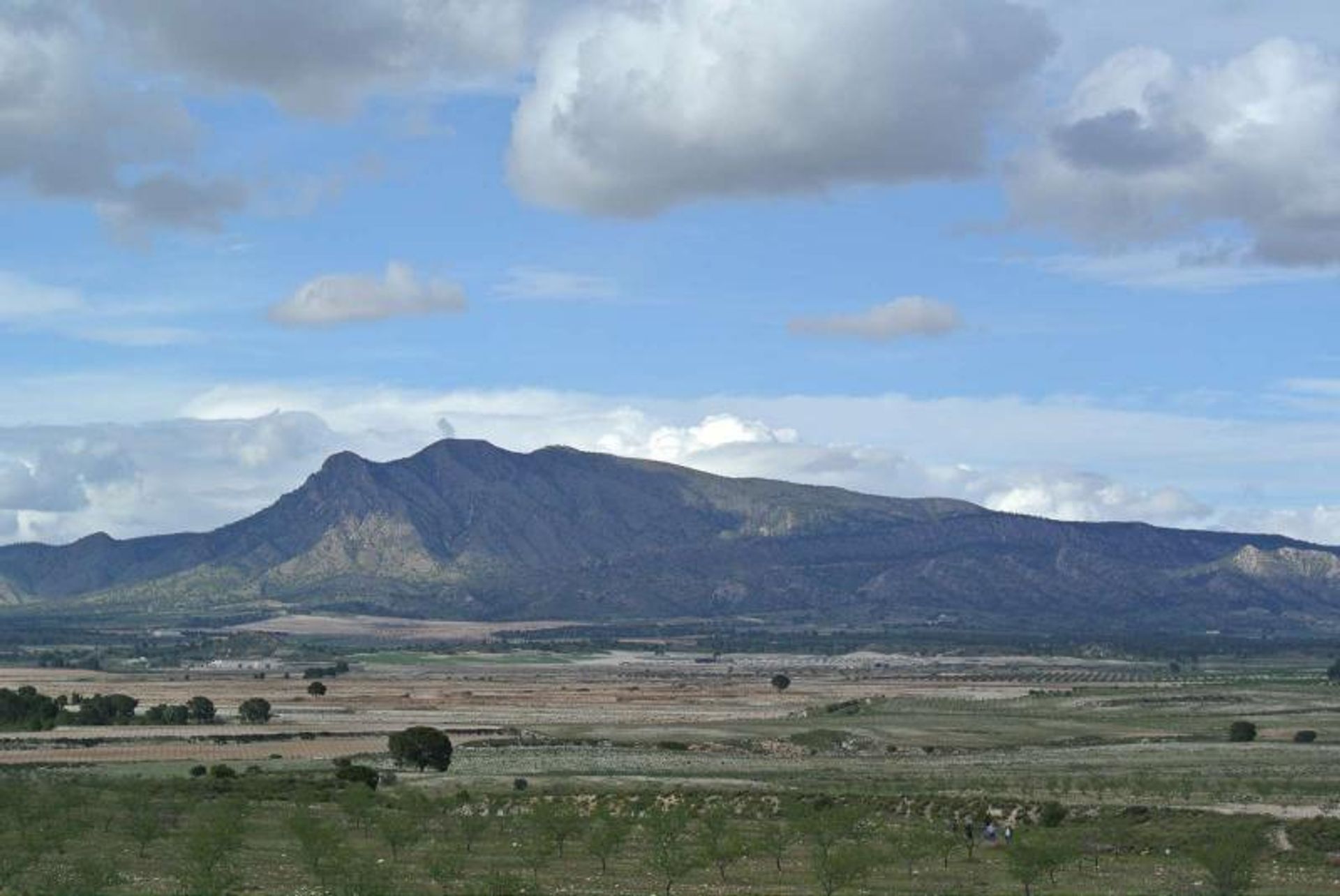 Haus im Jumilla, Región de Murcia 10779071