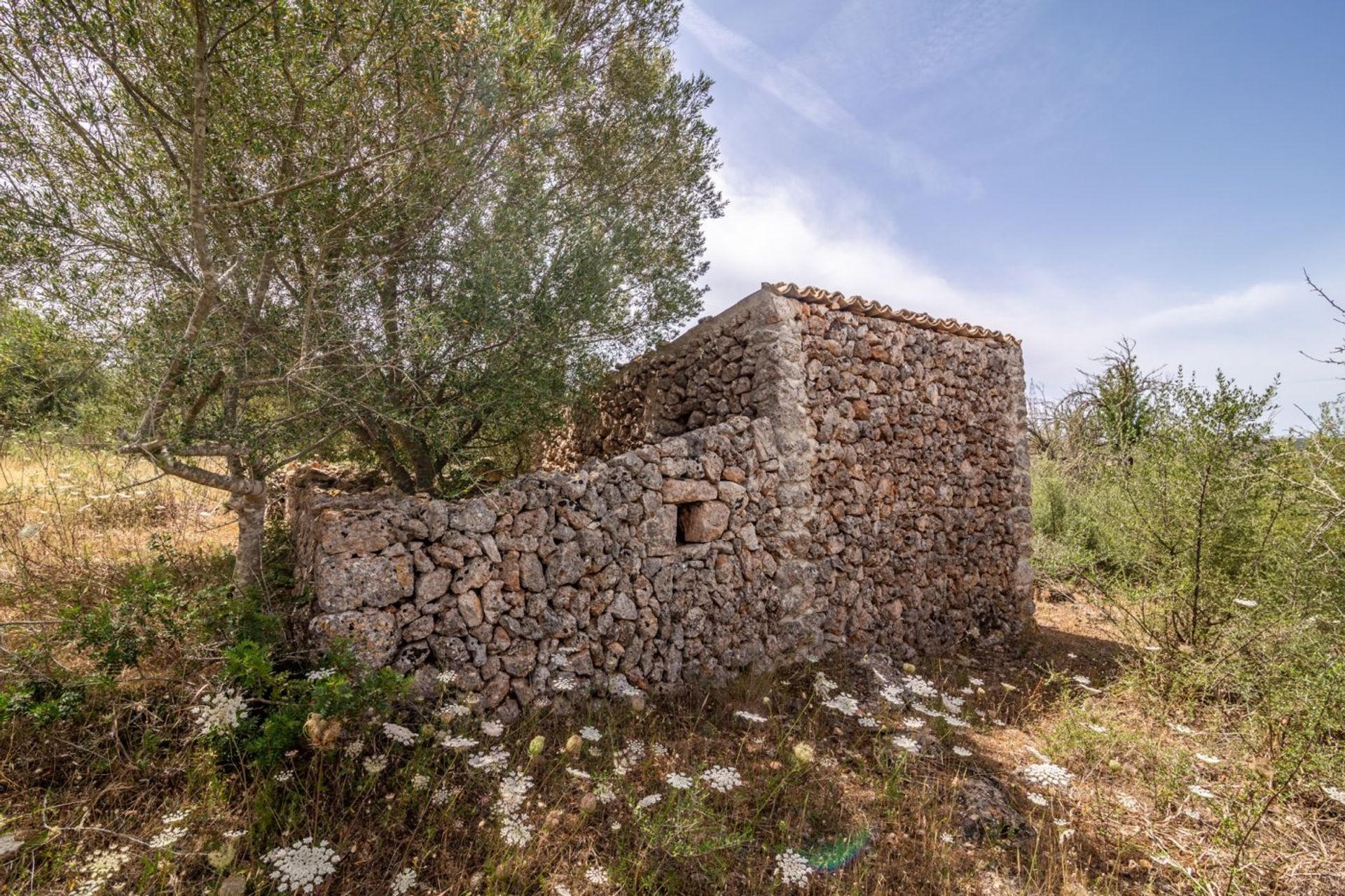 Hus i , Illes Balears 10779199