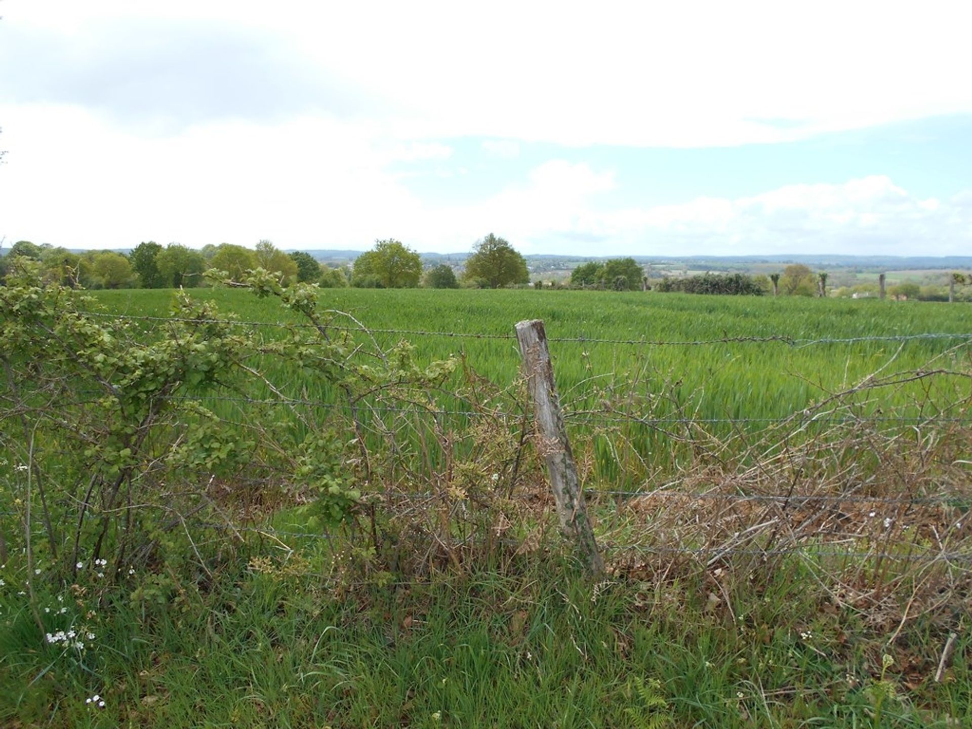 rumah dalam Boulay-les-Ifs, Membayar de la Loire 10779328