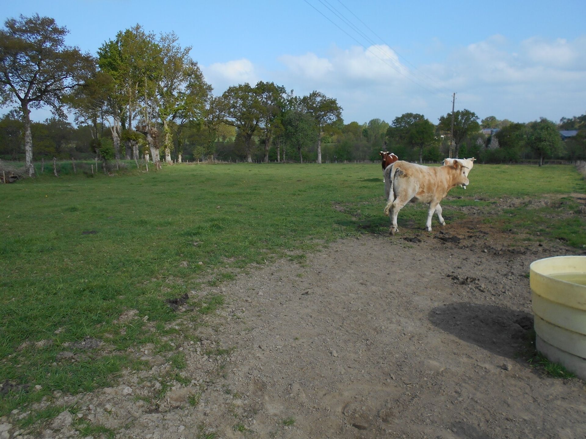 بيت في Javron-les-Chapelles, Pays de la Loire 10779338