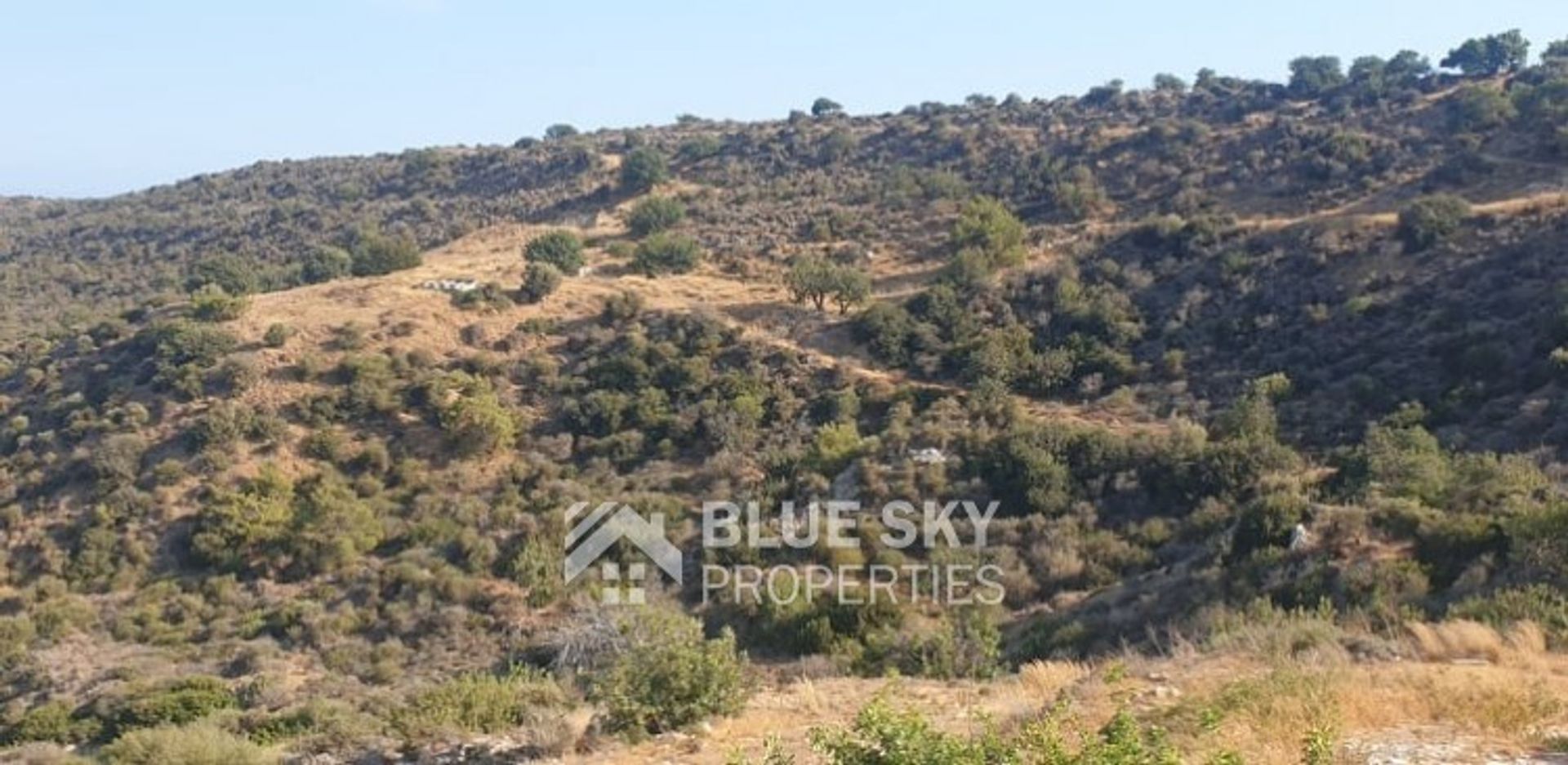 Land im Pampoula, Lemesos 10779540