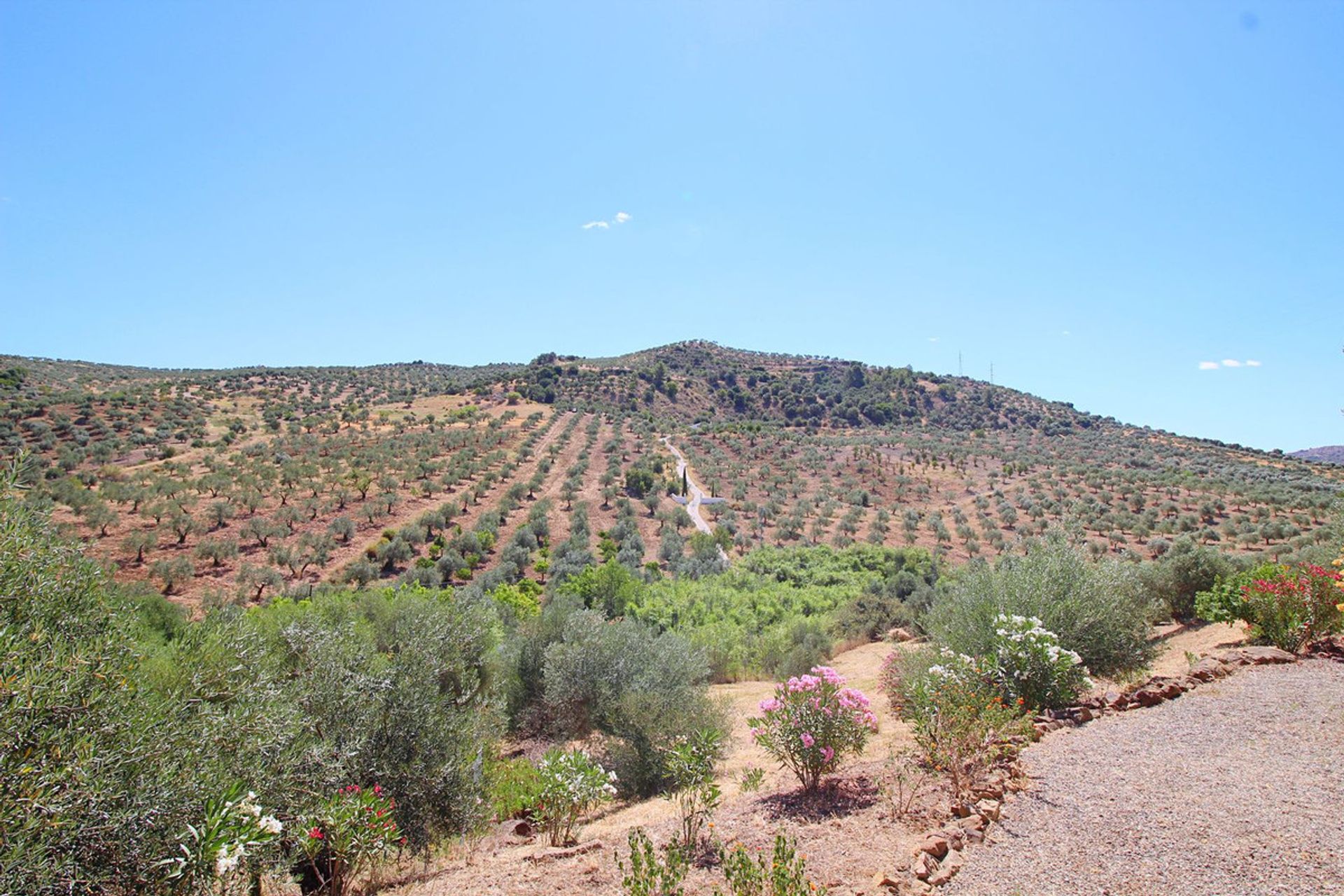 بيت في Tolox, Andalucía 10779797