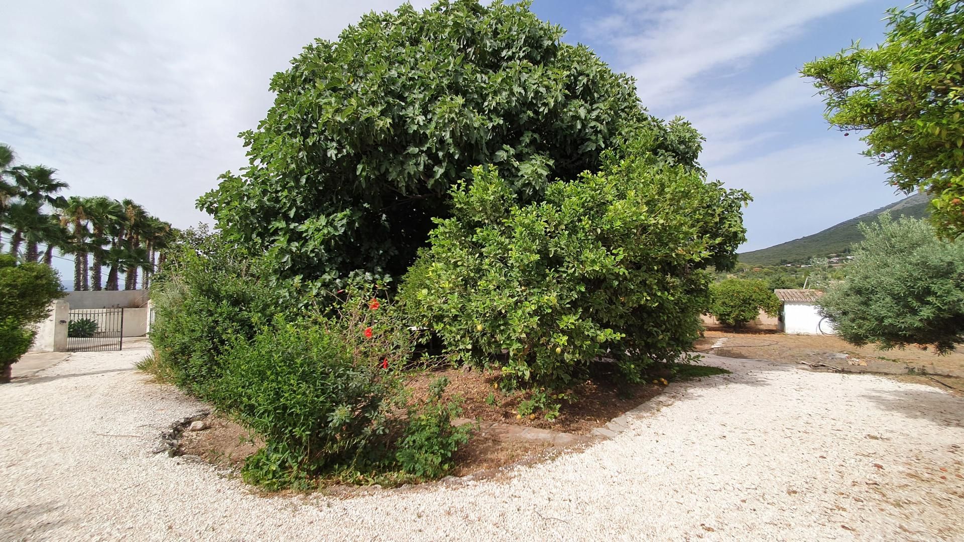 집 에 Alhaurín el Grande, Andalucía 10779842