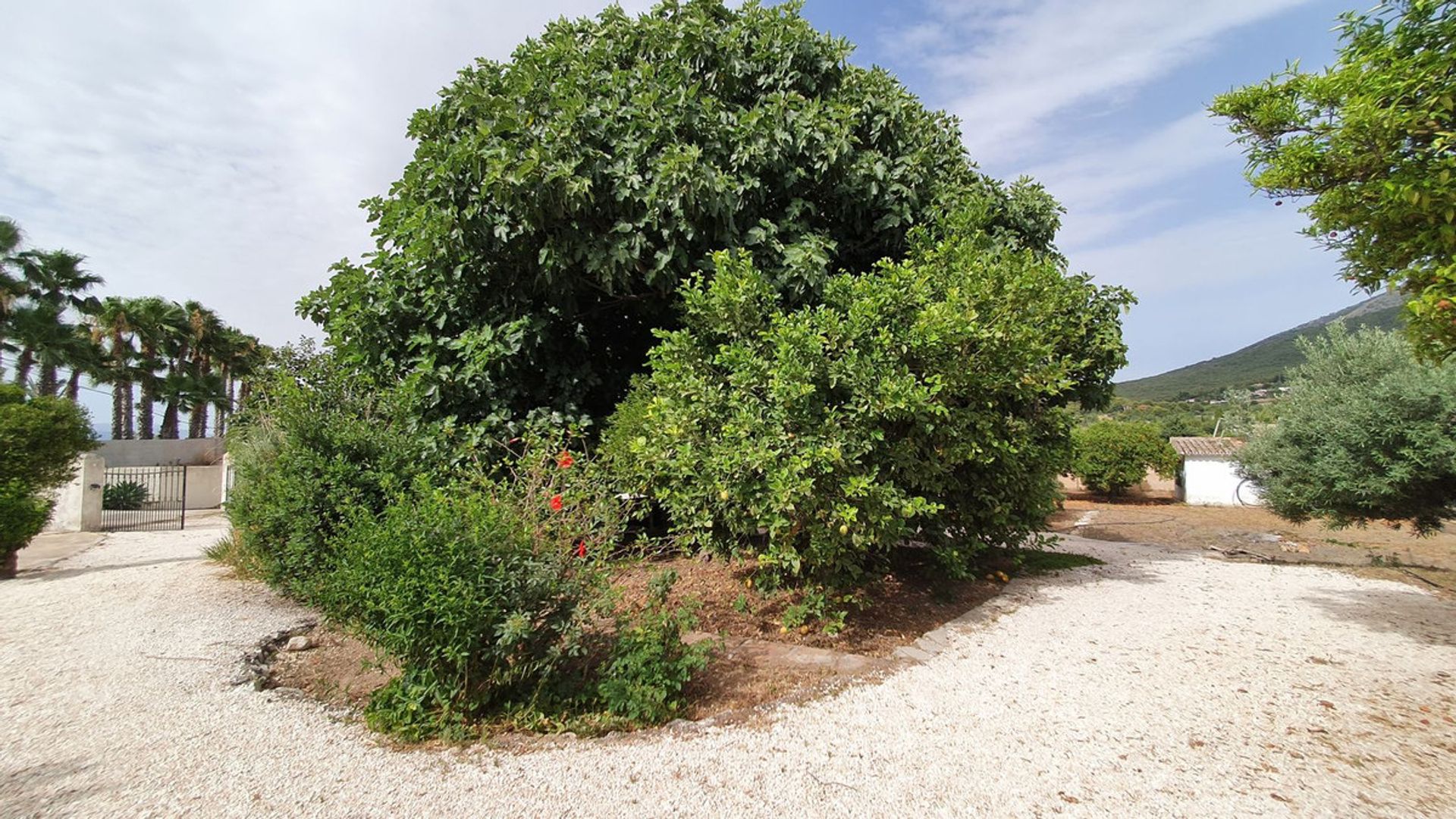 집 에 Alhaurín el Grande, Andalucía 10779934