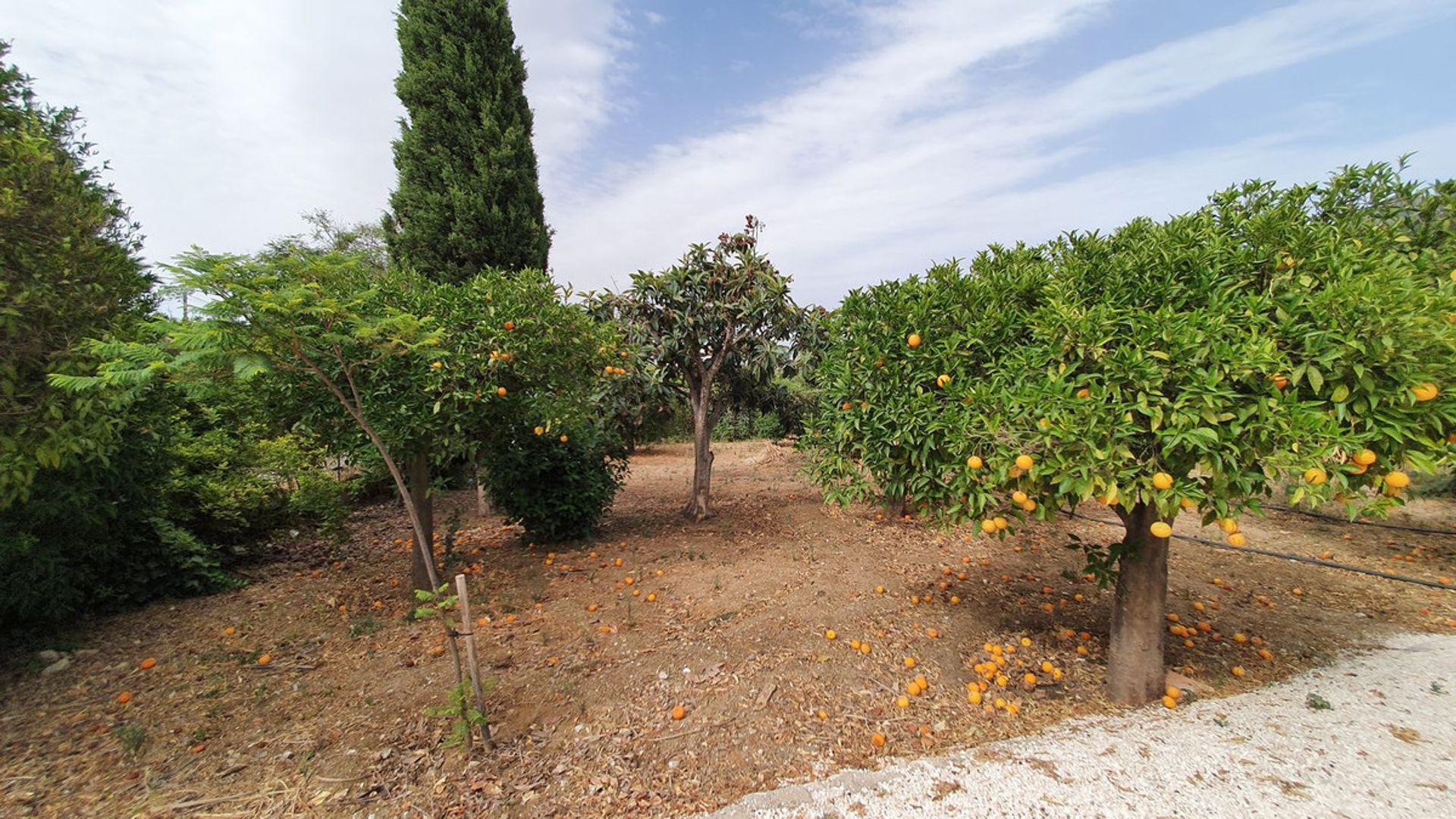 집 에 Alhaurín el Grande, Andalucía 10779934