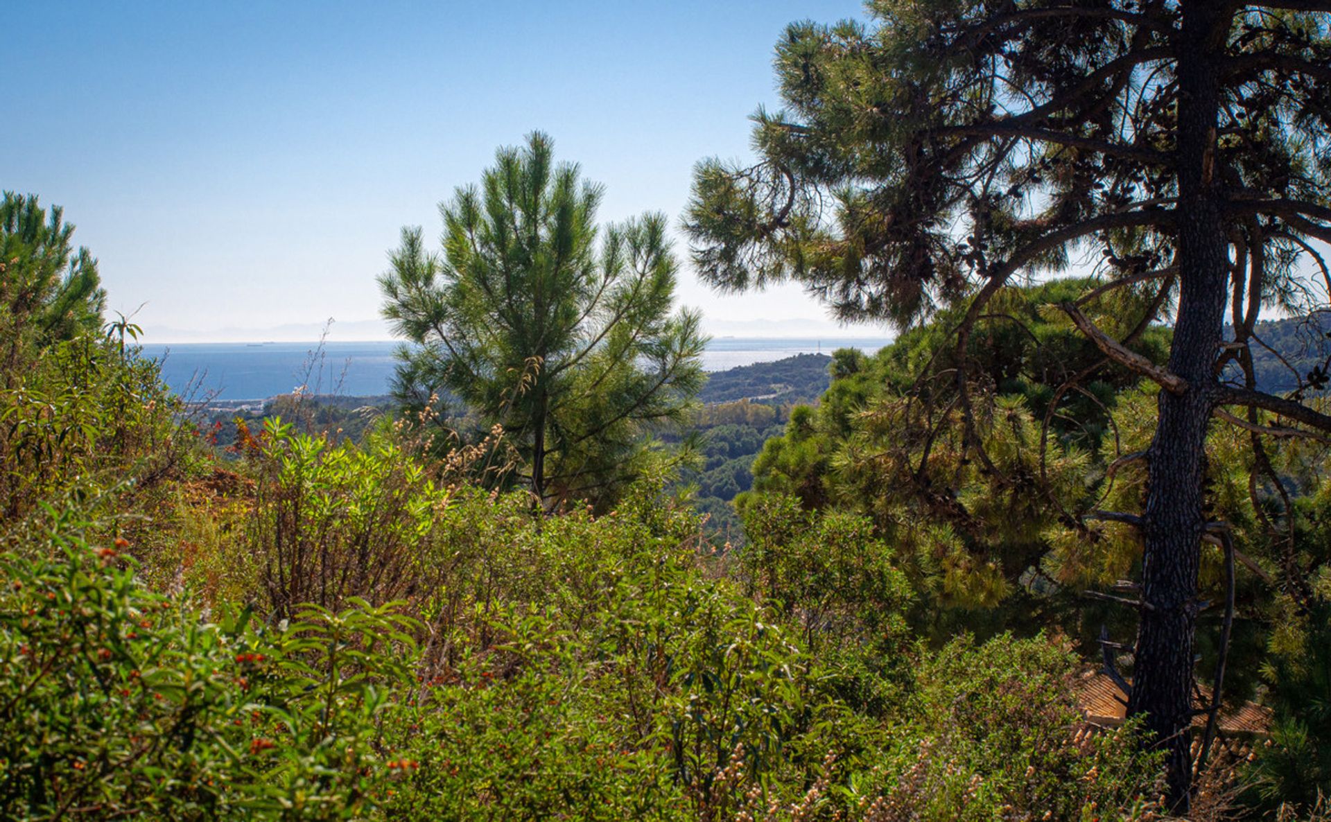 Terra no Benahavís, Andalucía 10779966