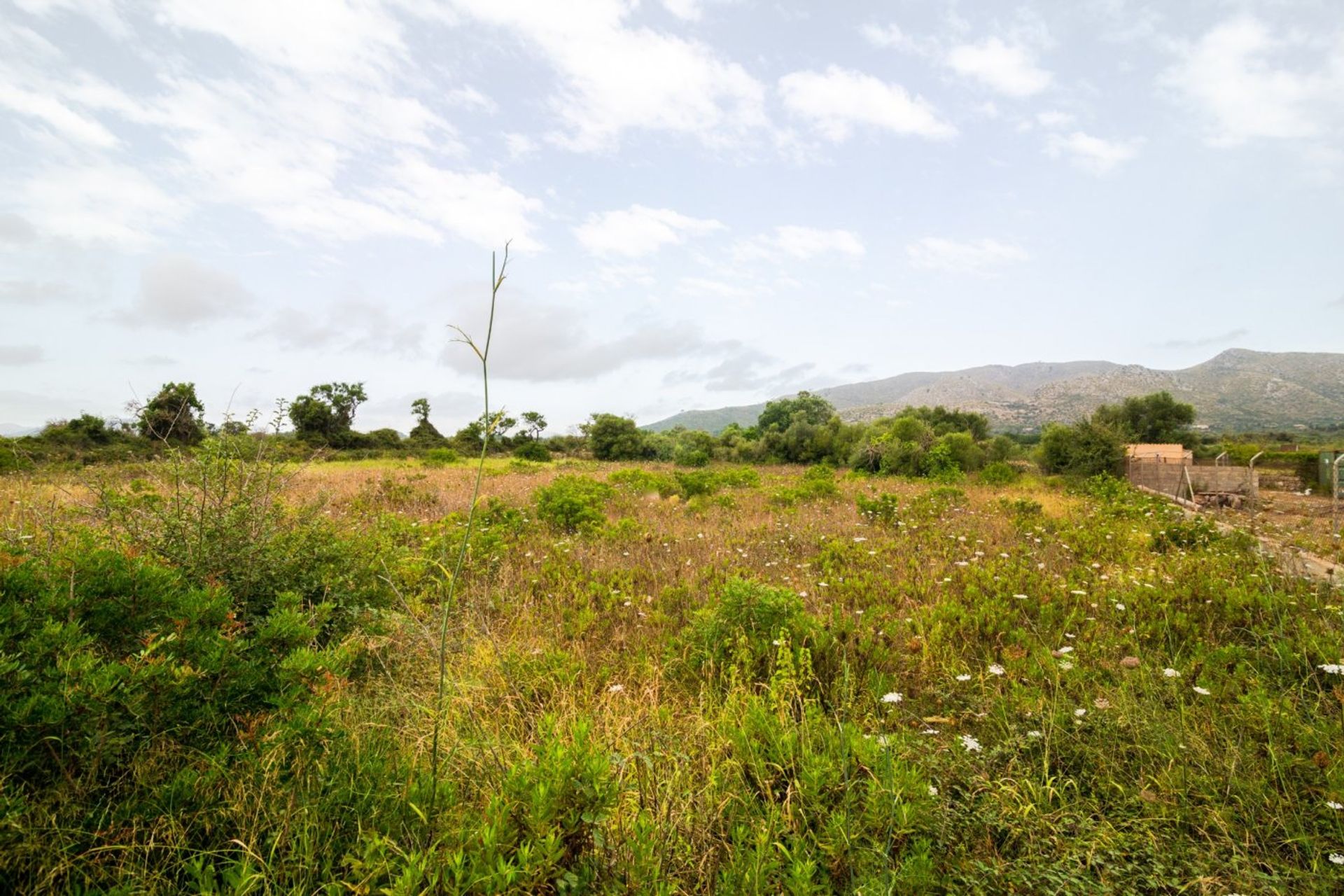 Tierra en Capdepera, Islas Baleares 10780007