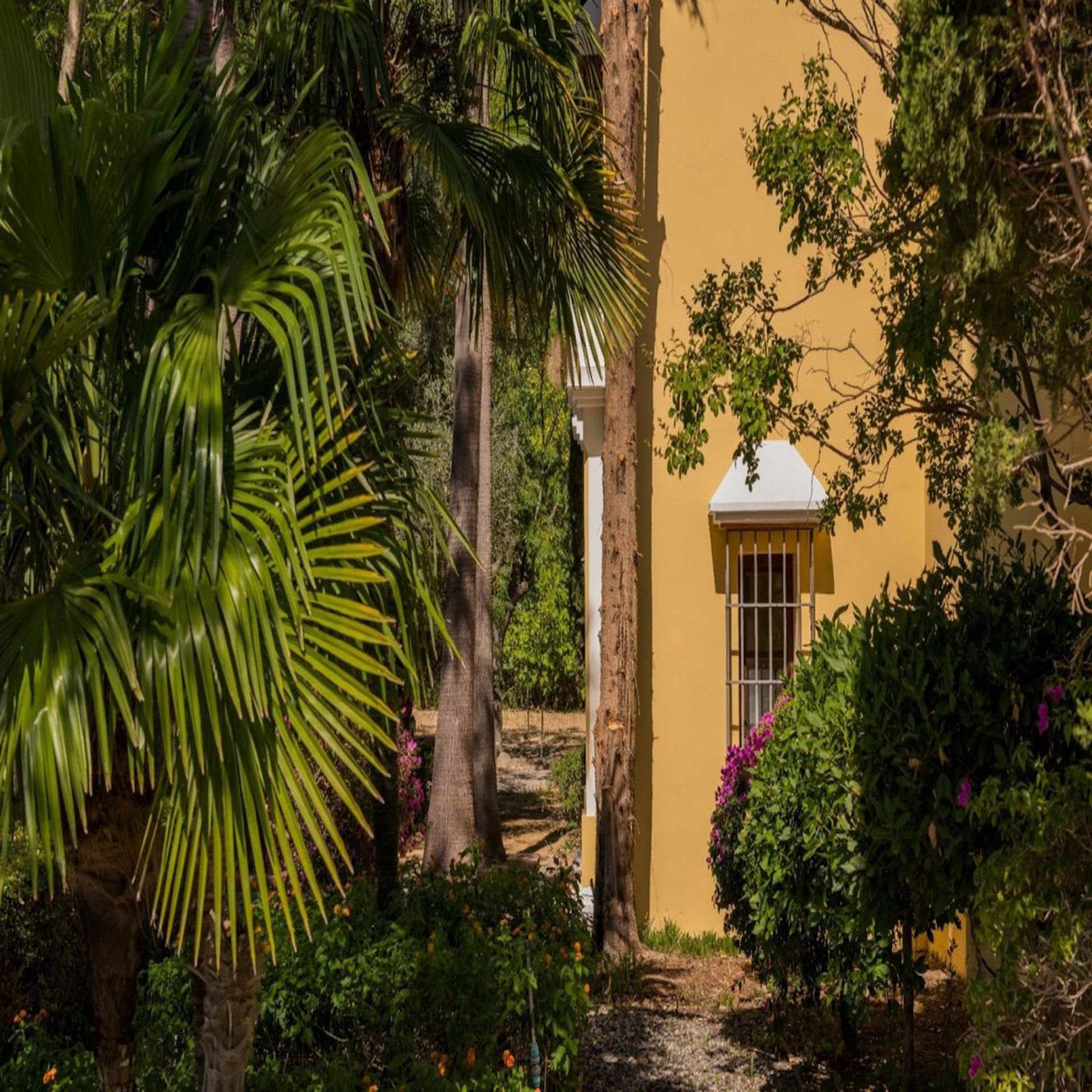 Casa nel Gaucín, Andalucía 10780050