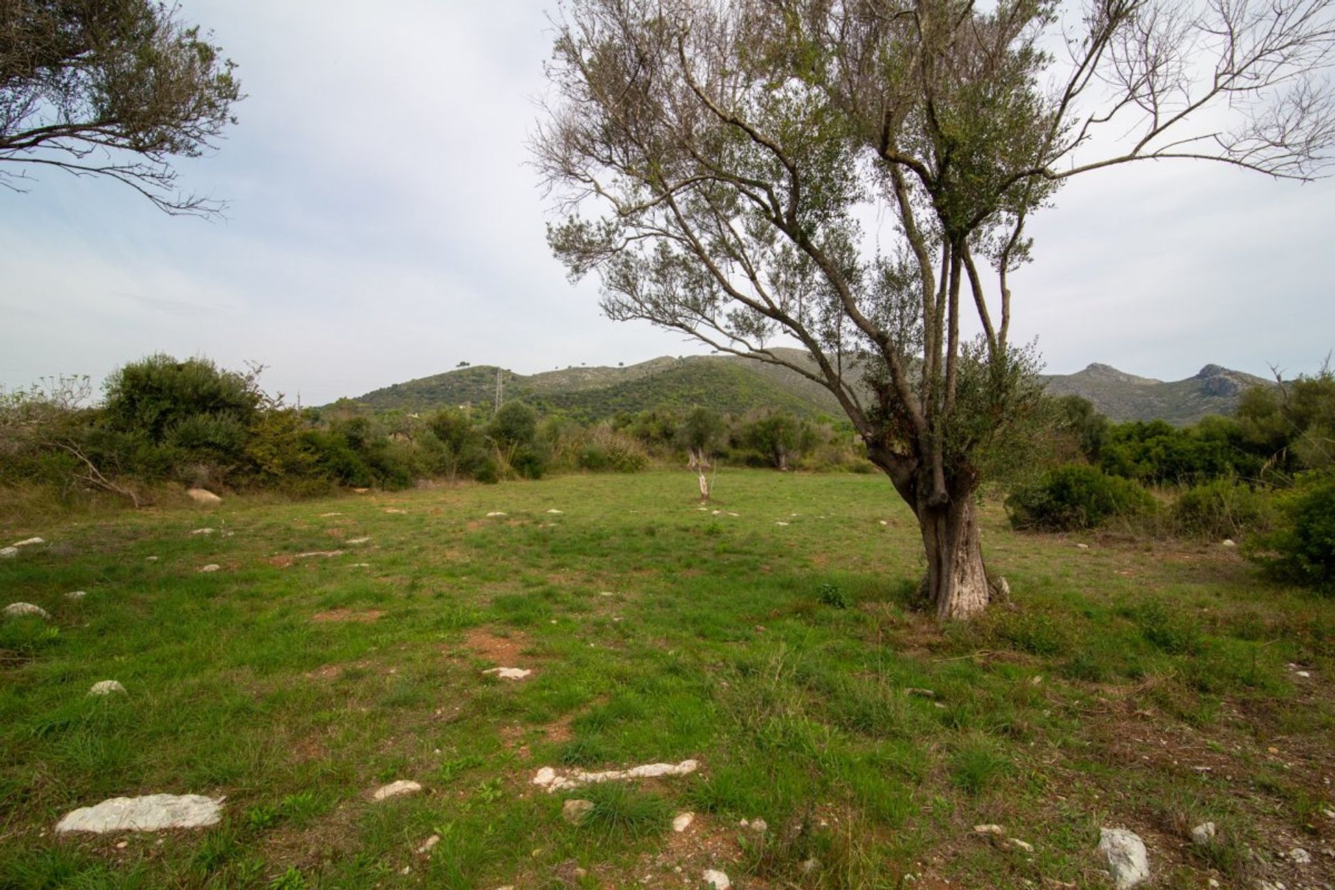 Land i Capdepera, Illes Balears 10780170