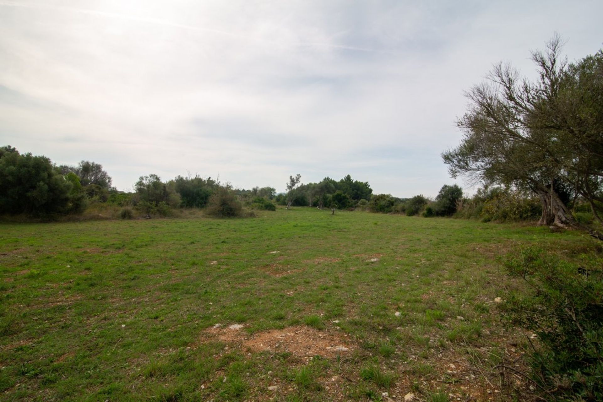 Land i Capdepera, Illes Balears 10780170