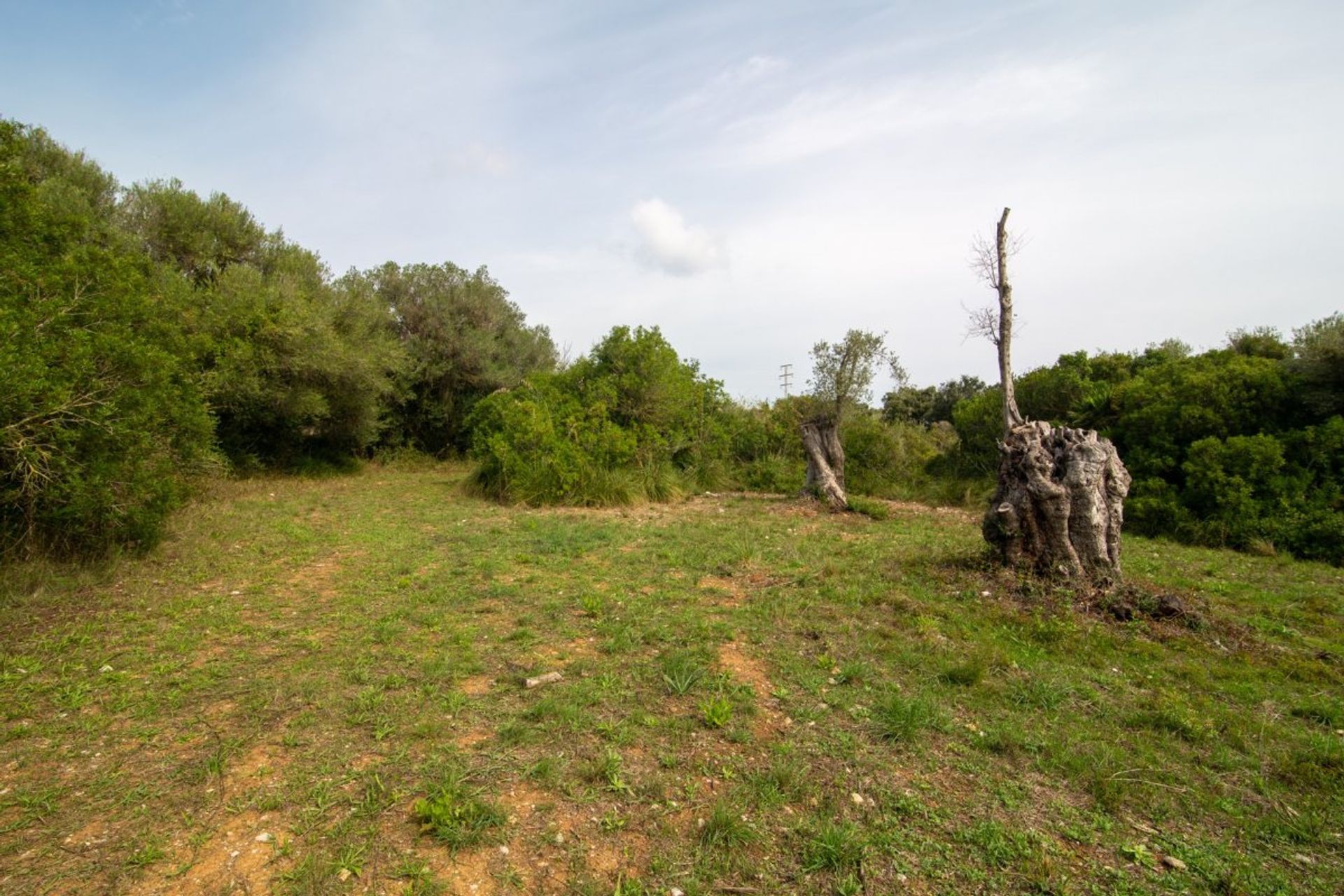 Land i Capdepera, Illes Balears 10780170