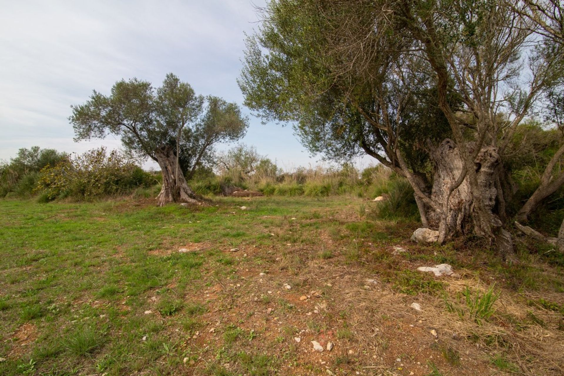 Land i Capdepera, Illes Balears 10780170