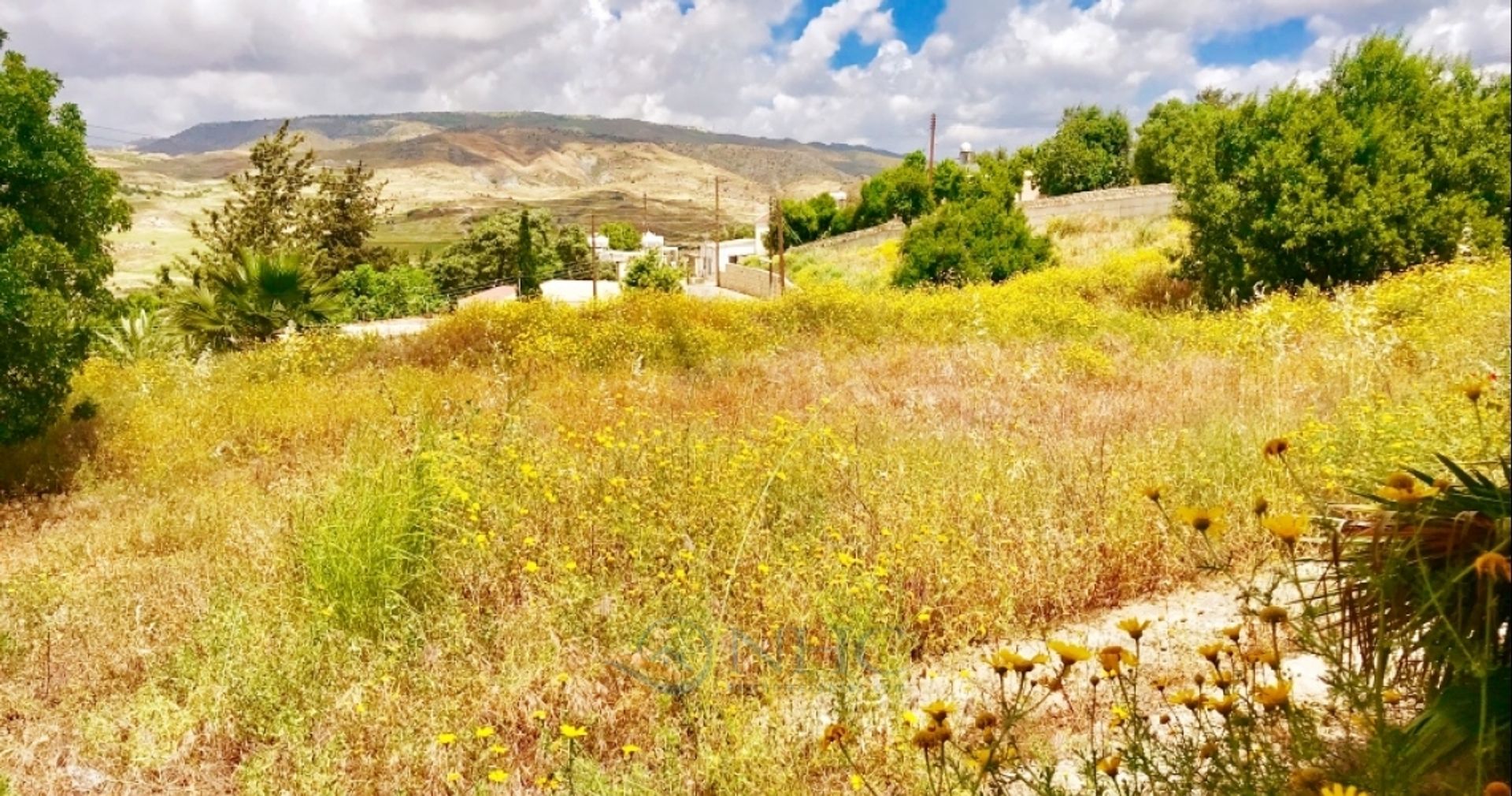 Jord i Agia Marinouda, Pafos 10780310