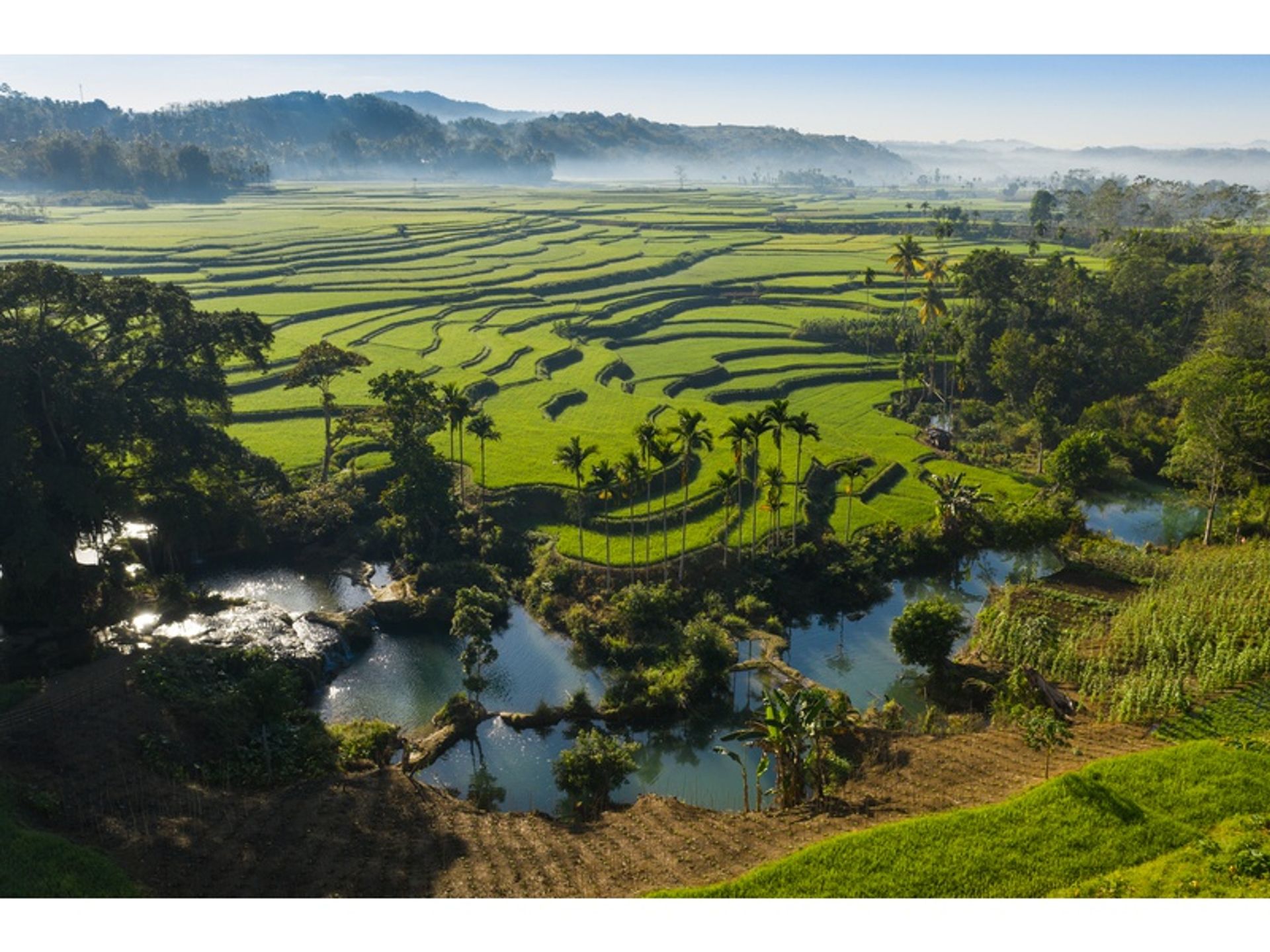 Lain di , East Nusa Tenggara 10780387