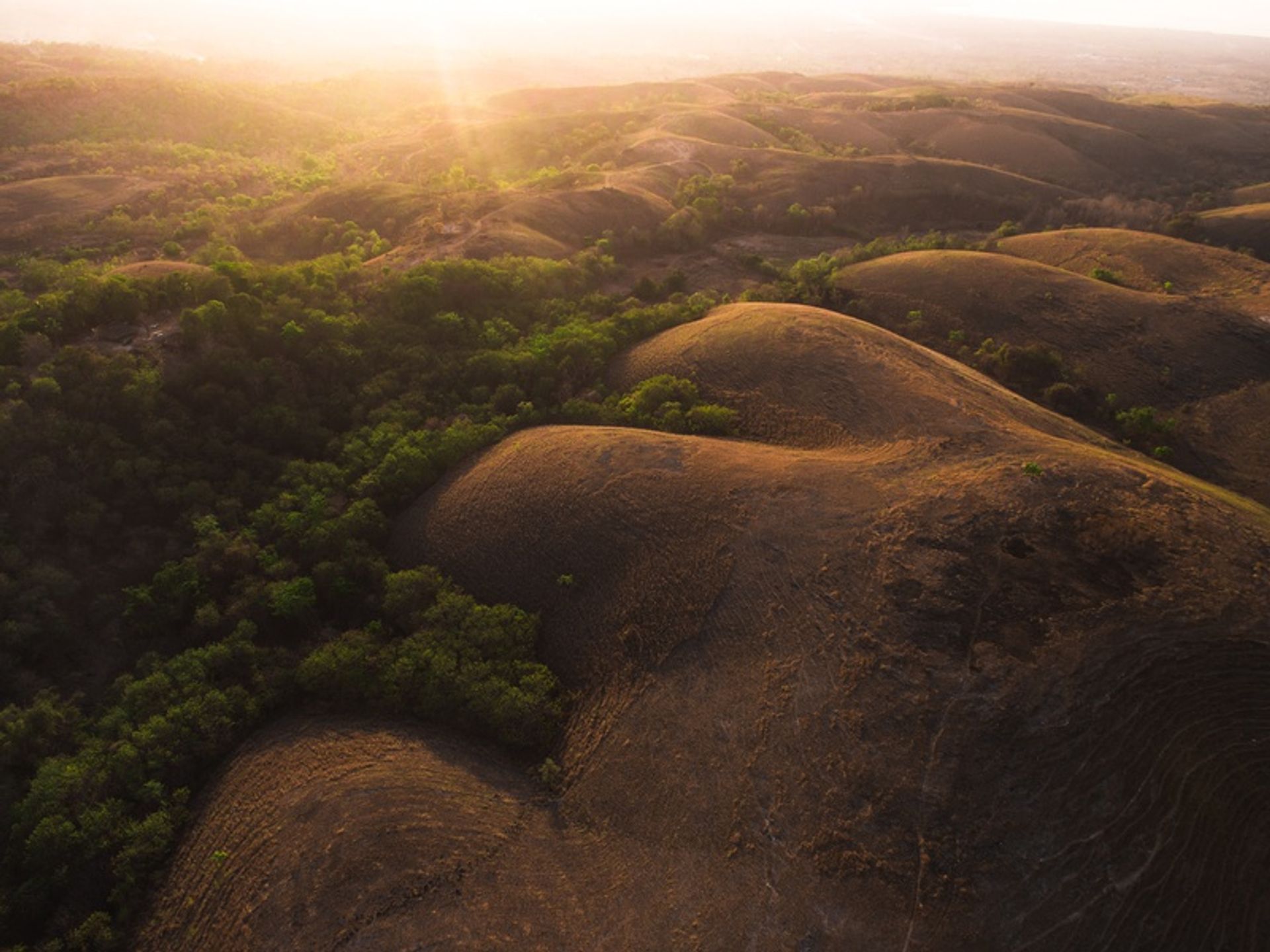 其他 在 , East Nusa Tenggara 10780387