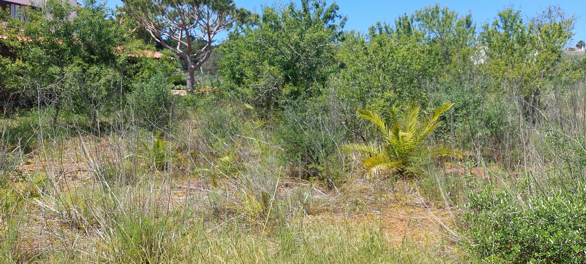 土地 在 Praia da Luz, Faro District 10780544