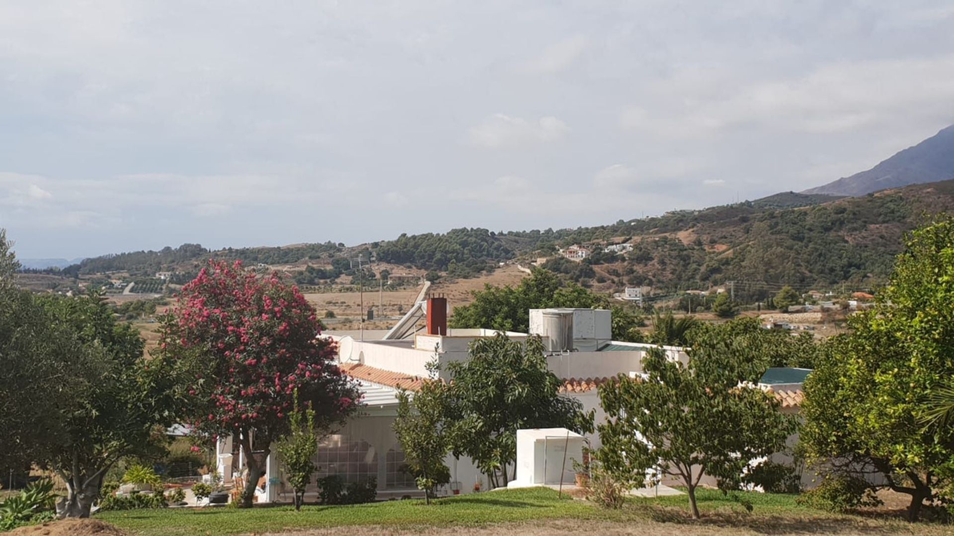 House in Estepona, Andalusia 10780702