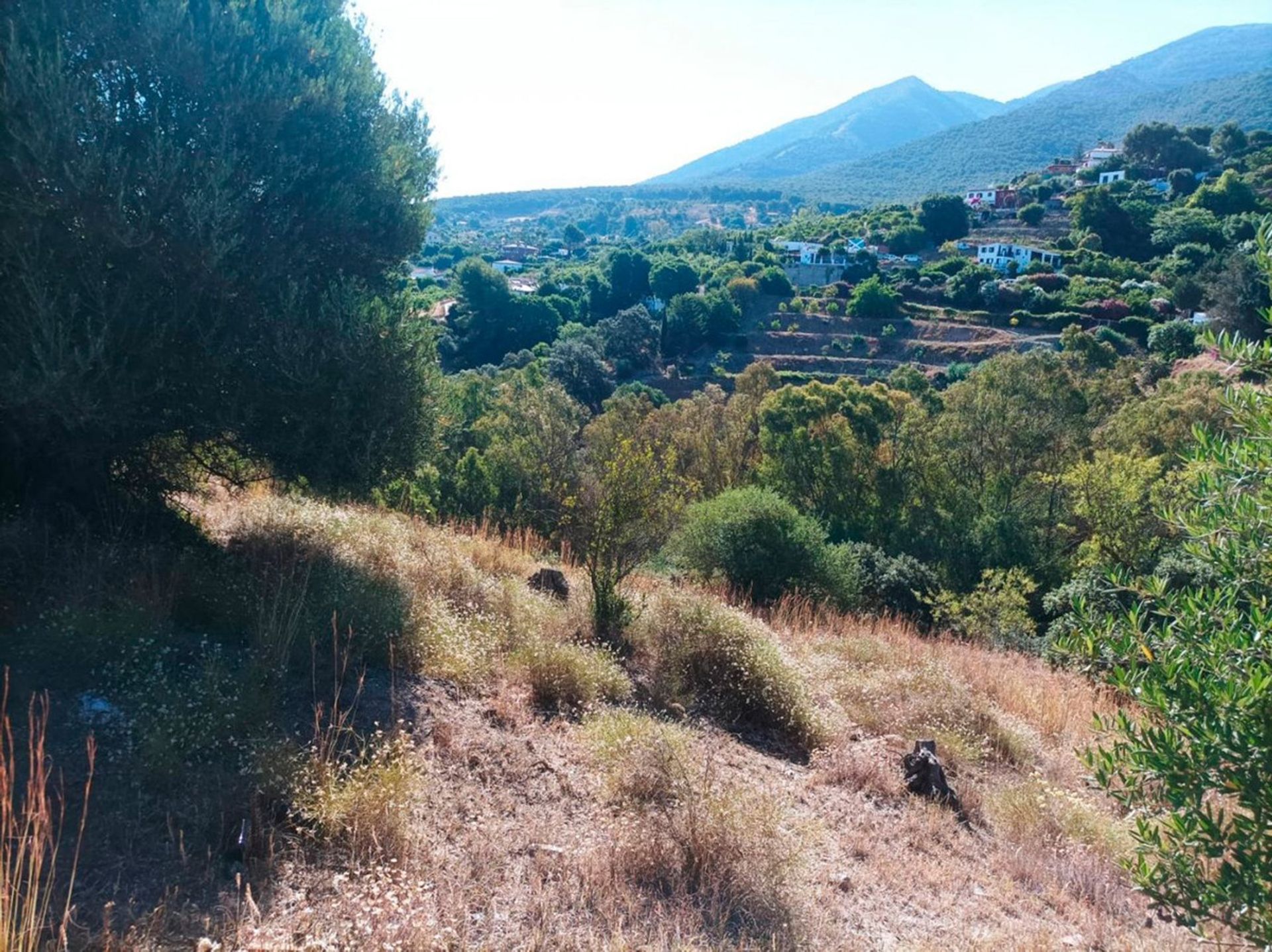 Maa sisään Alhaurin el Grande, Andalusia 10780747