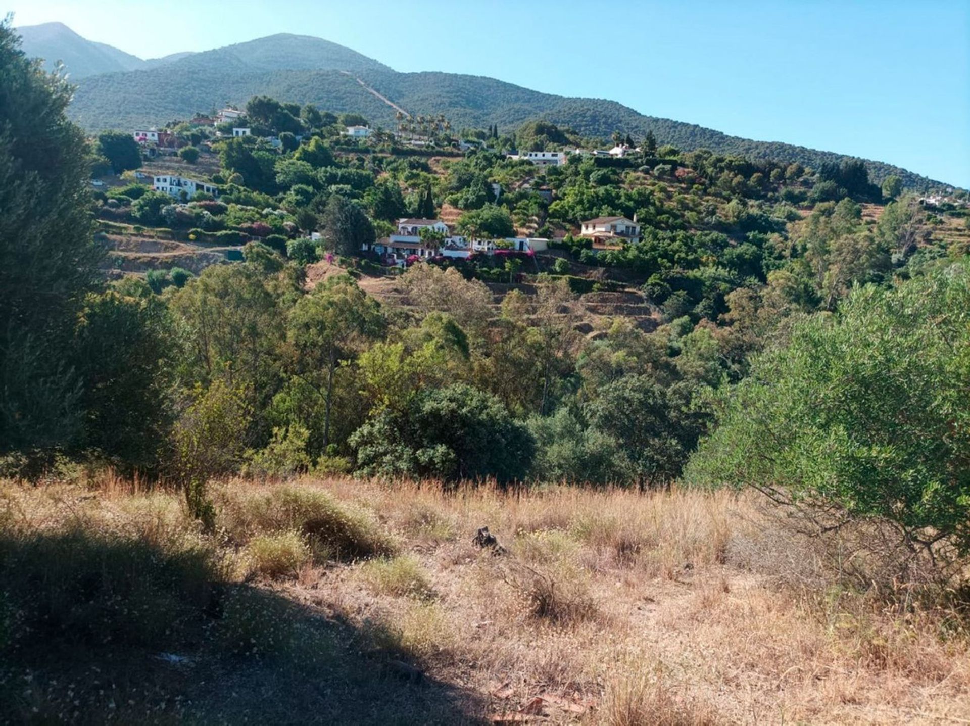 Maa sisään Alhaurin el Grande, Andalusia 10780747