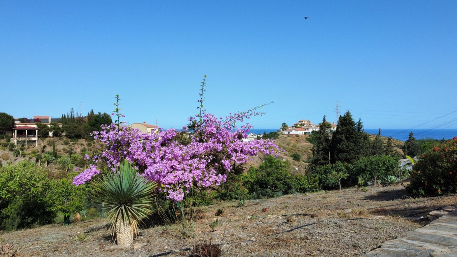 Talo sisään Benajarafe, Andalucía 10780751