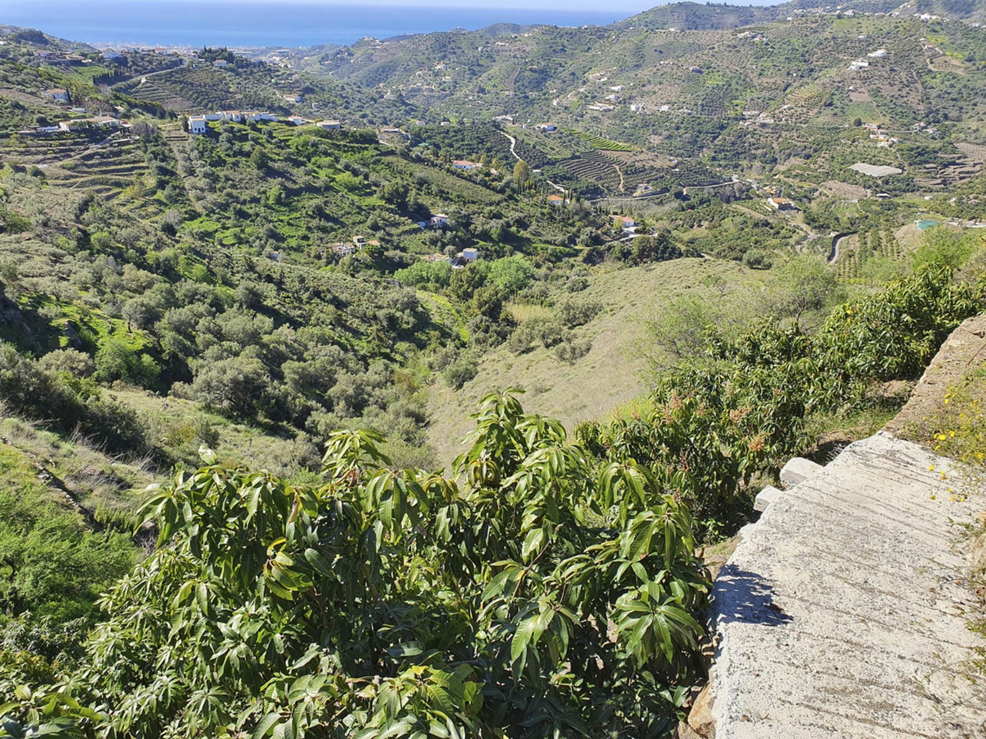 Hus i Torrox, Andalucía 10781332