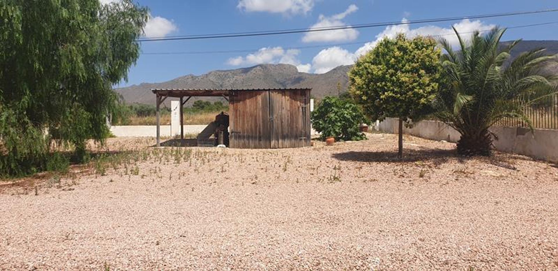 Hus i El Fondó de les Neus, Valencian Community 10781421