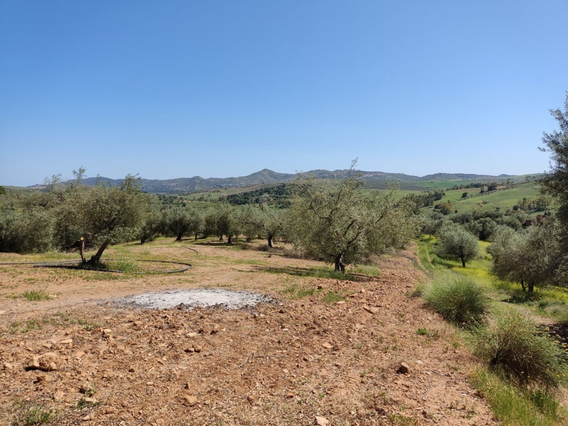 Land in Periana, Andalucía 10781470