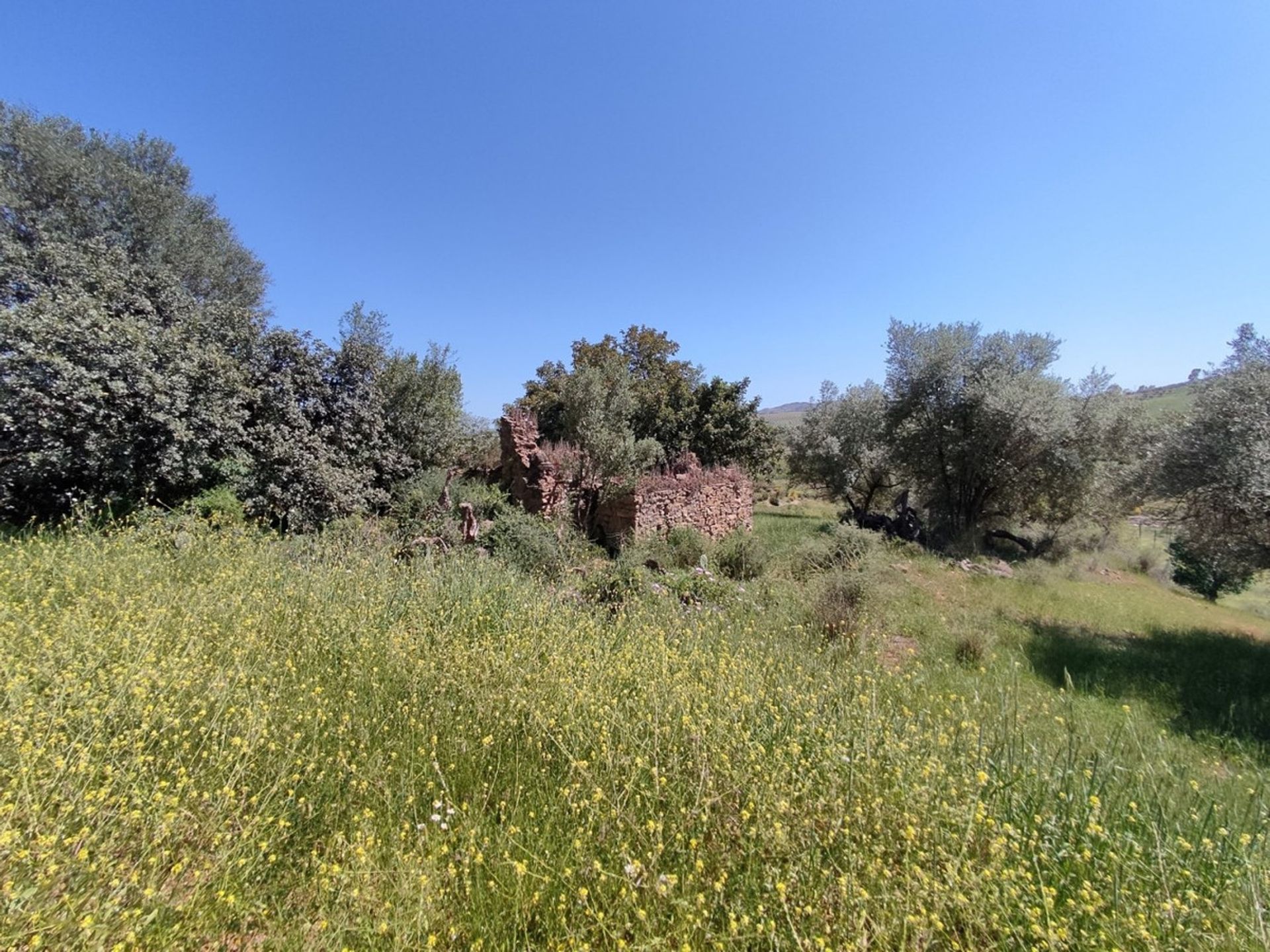 Land in Periana, Andalucía 10781470