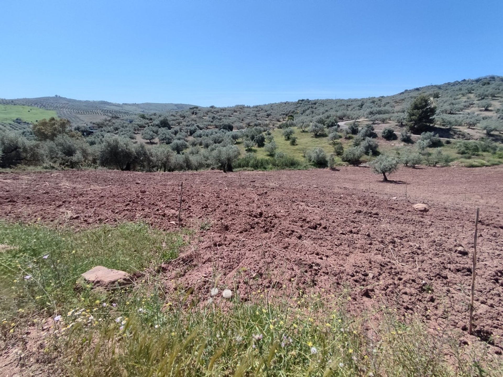 Land in Periana, Andalucía 10781470