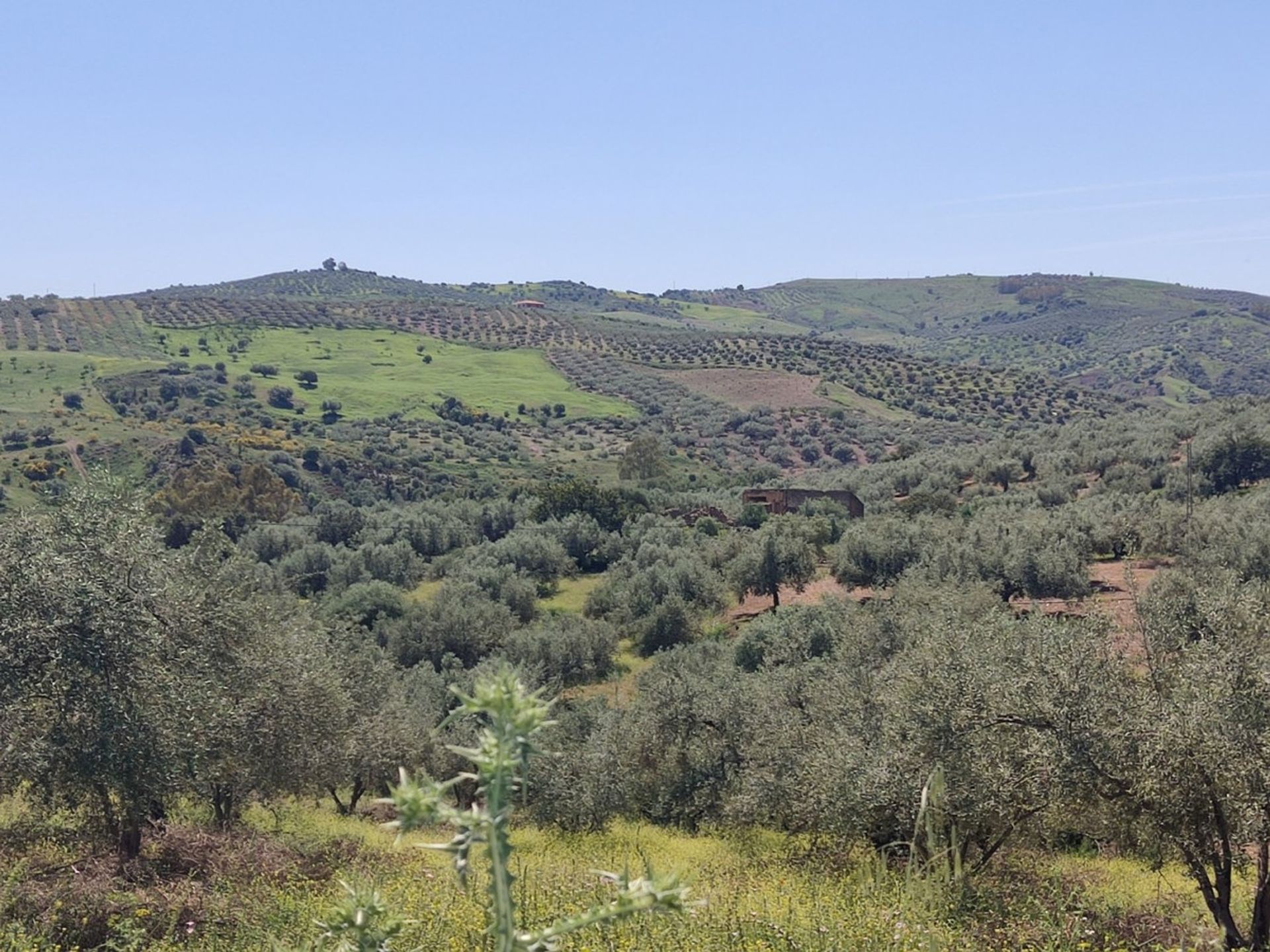 Land in Periana, Andalucía 10781470