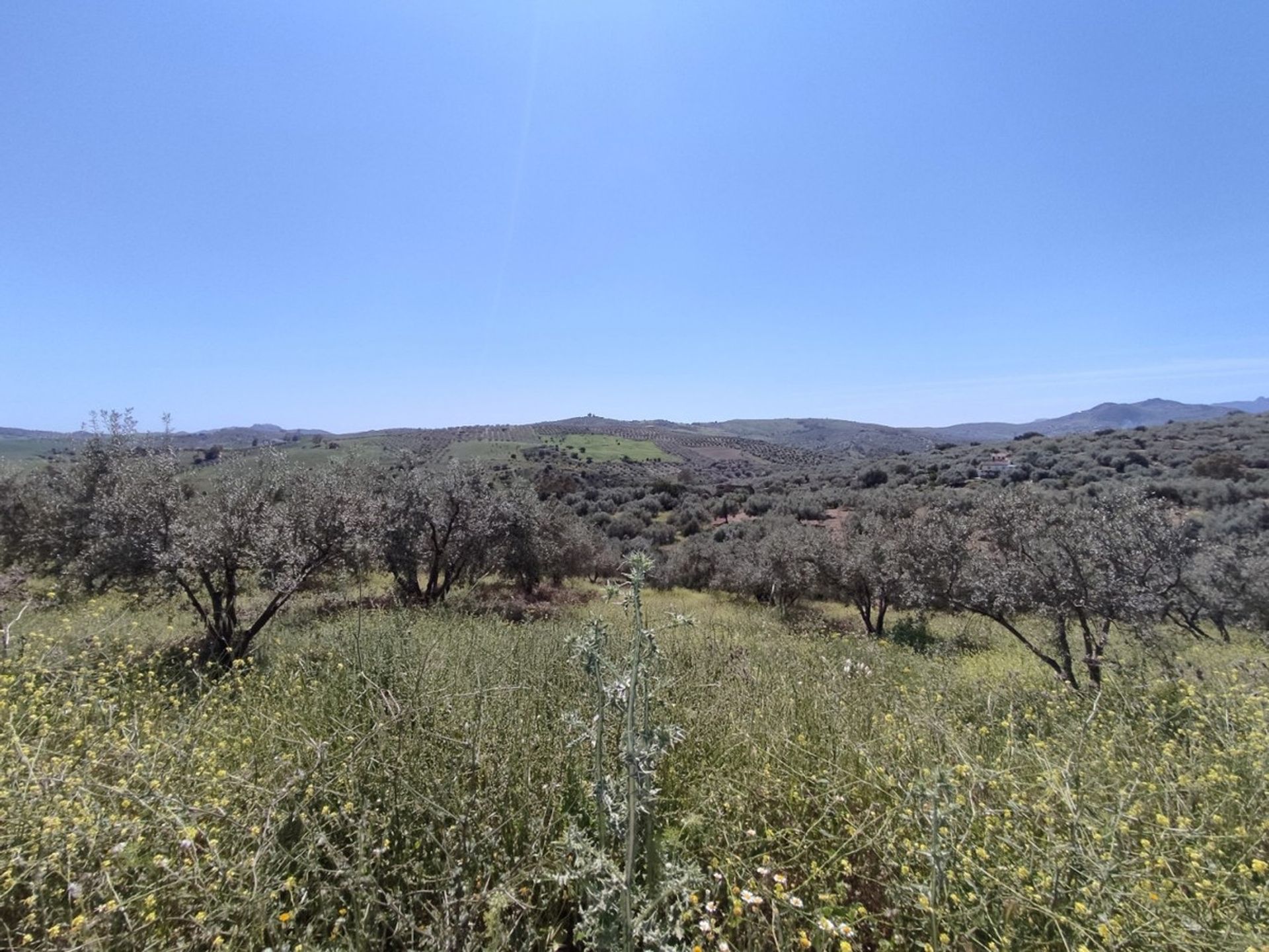 Land in Periana, Andalucía 10781470