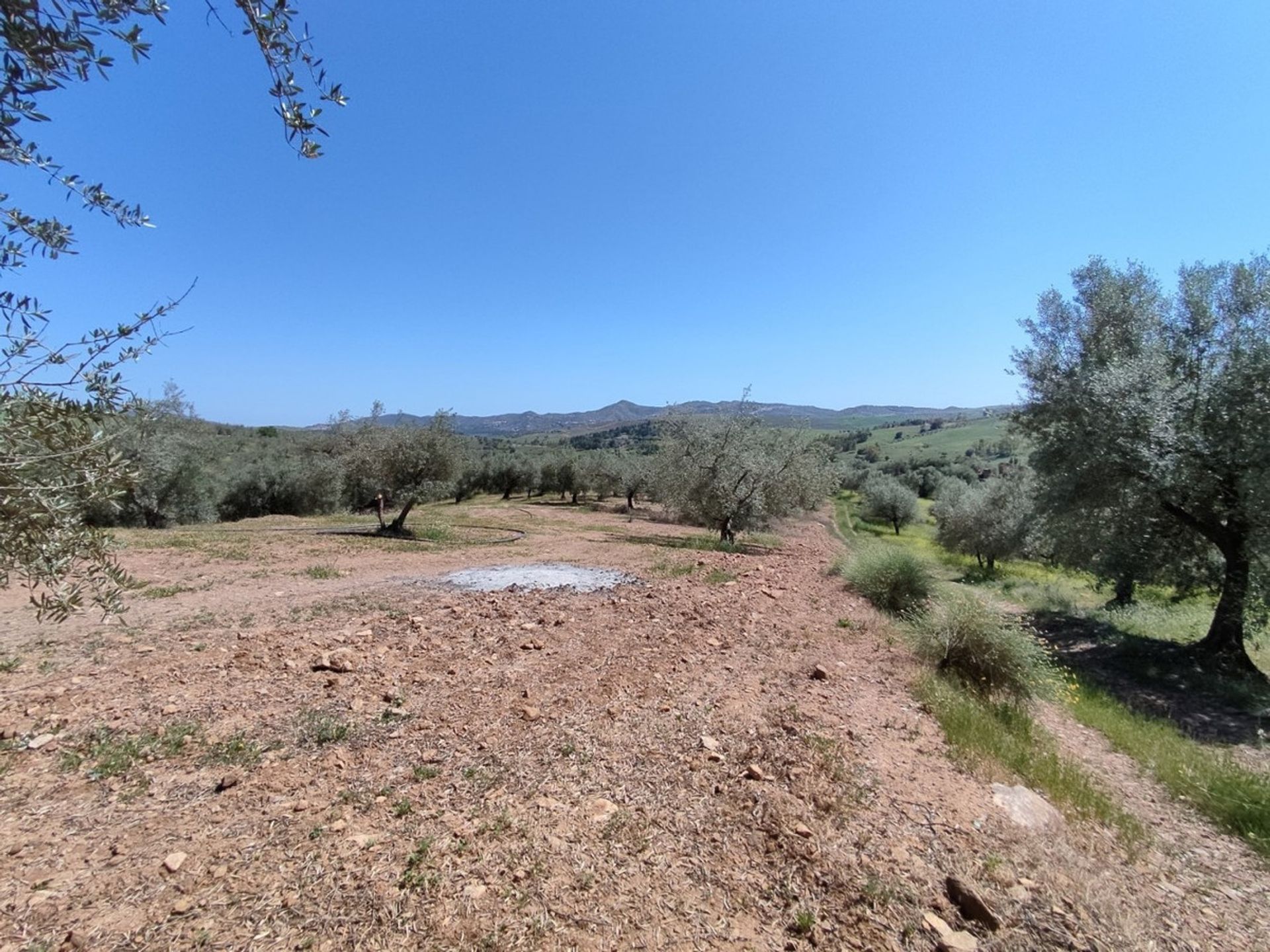 Land in Periana, Andalucía 10781470