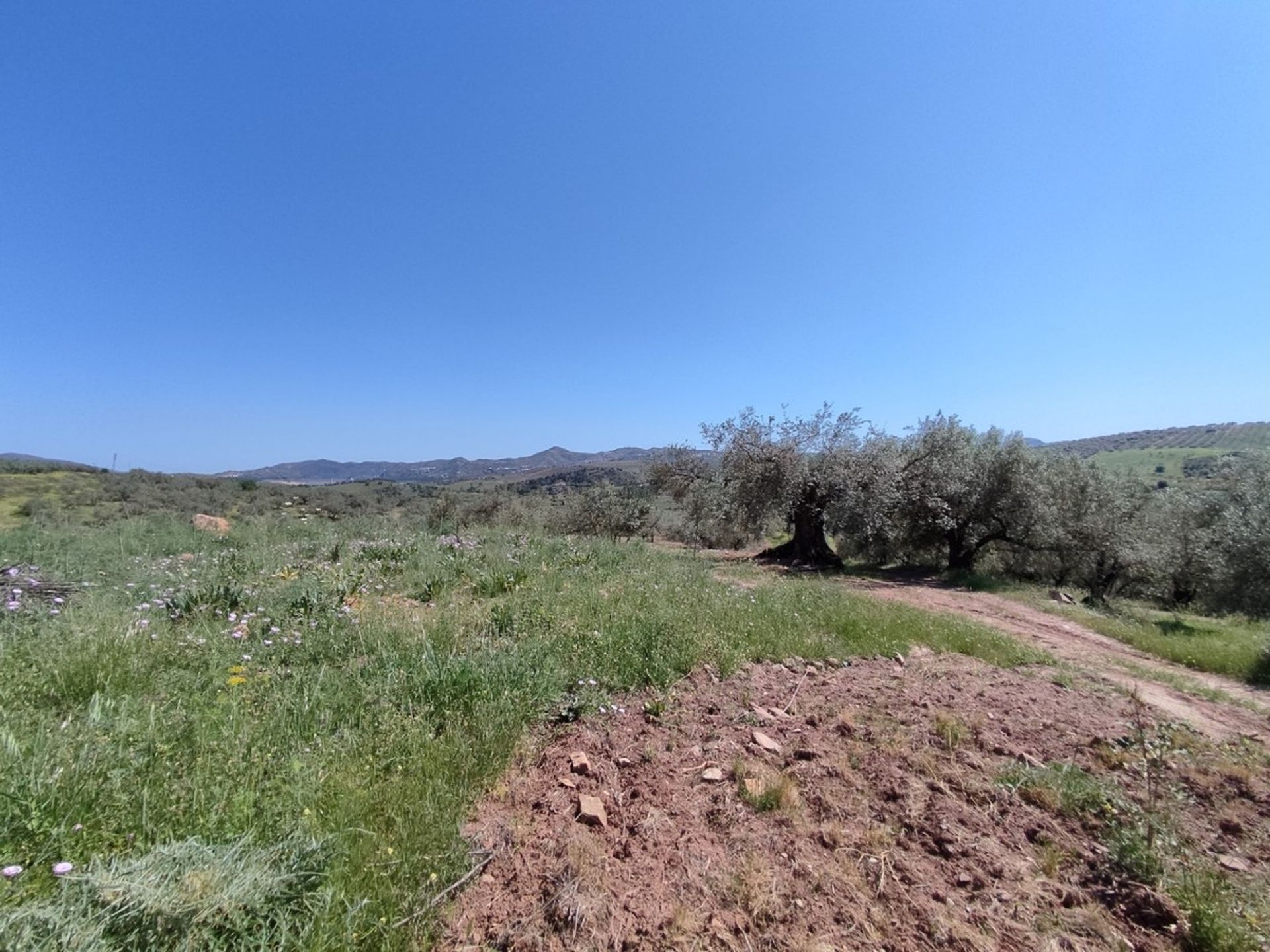 Land in Periana, Andalucía 10781470