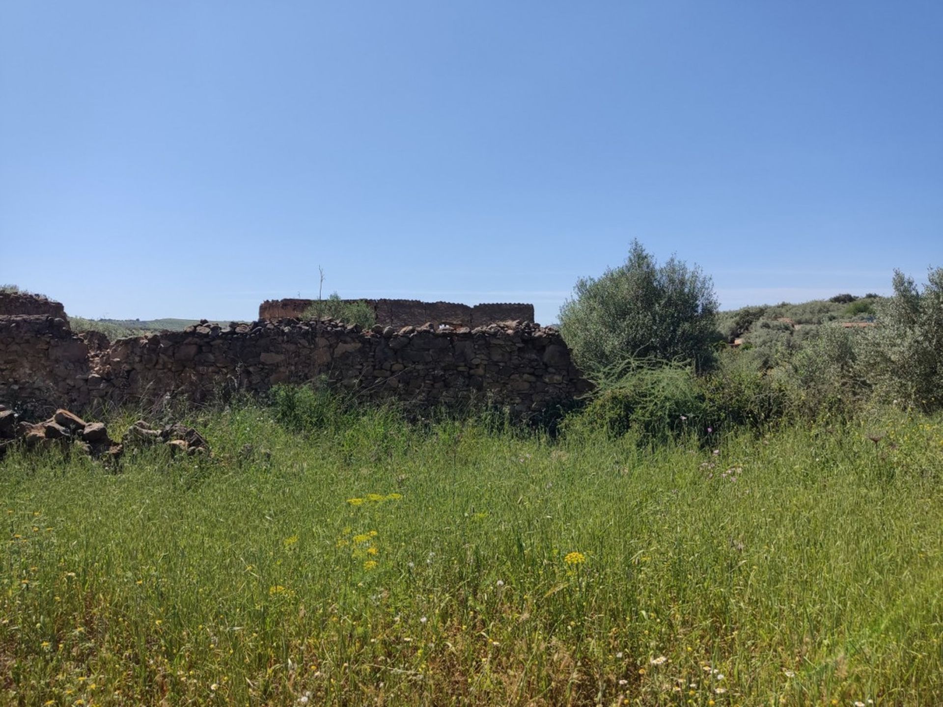 Land in Periana, Andalucía 10781470