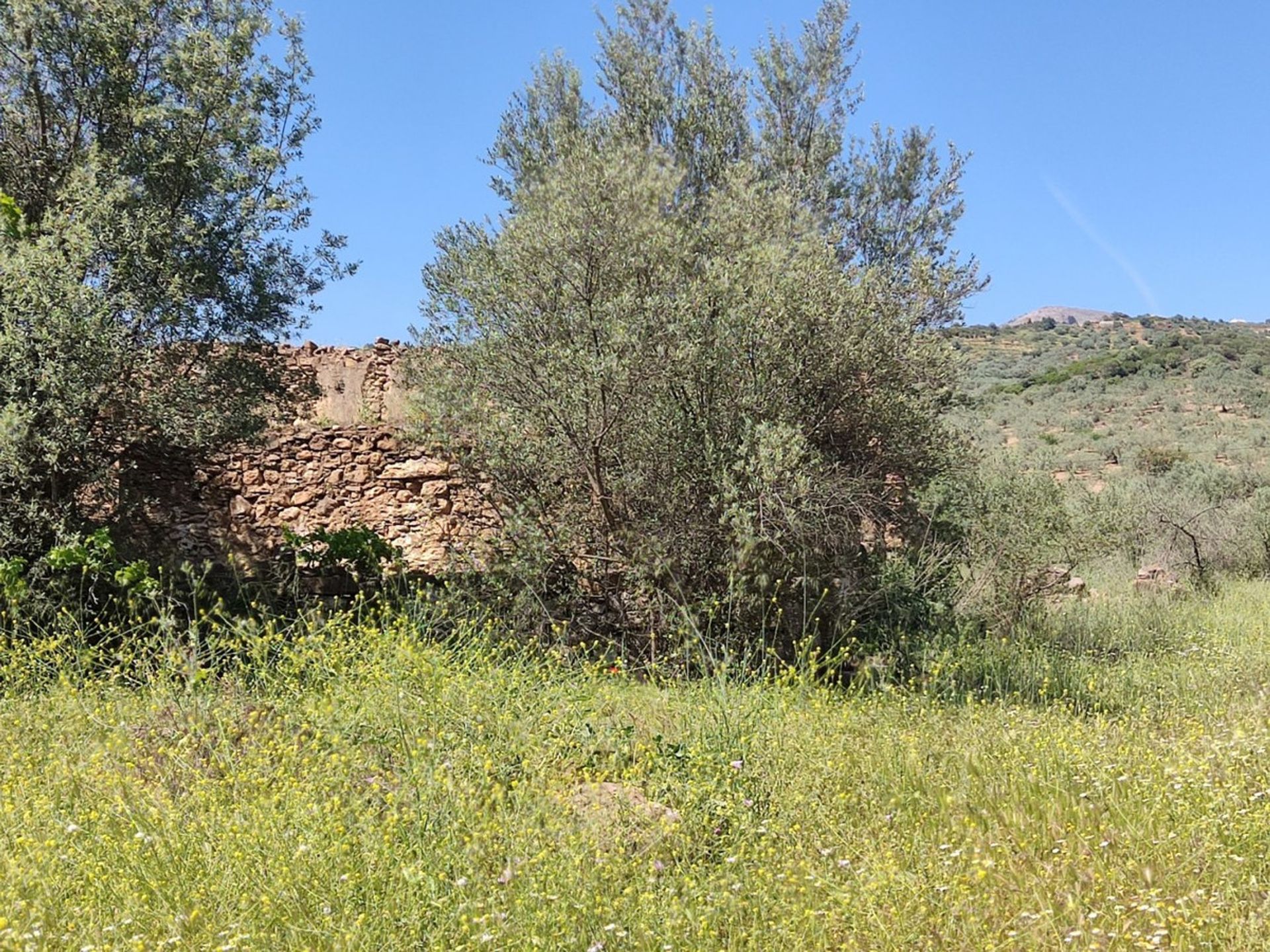 Land in Periana, Andalucía 10781470