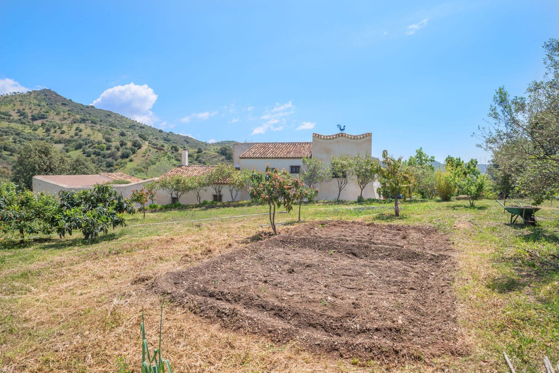 Haus im Cartama, Andalusien 10781557