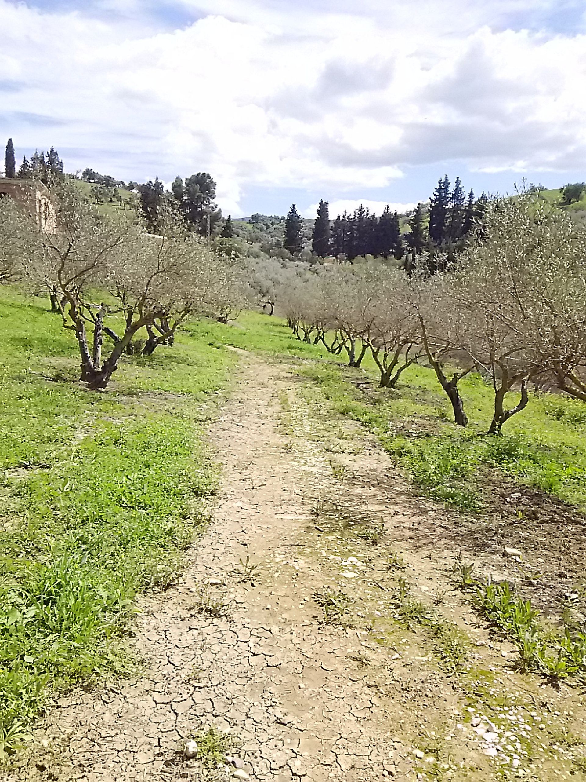 집 에 Coín, Andalucía 10781586