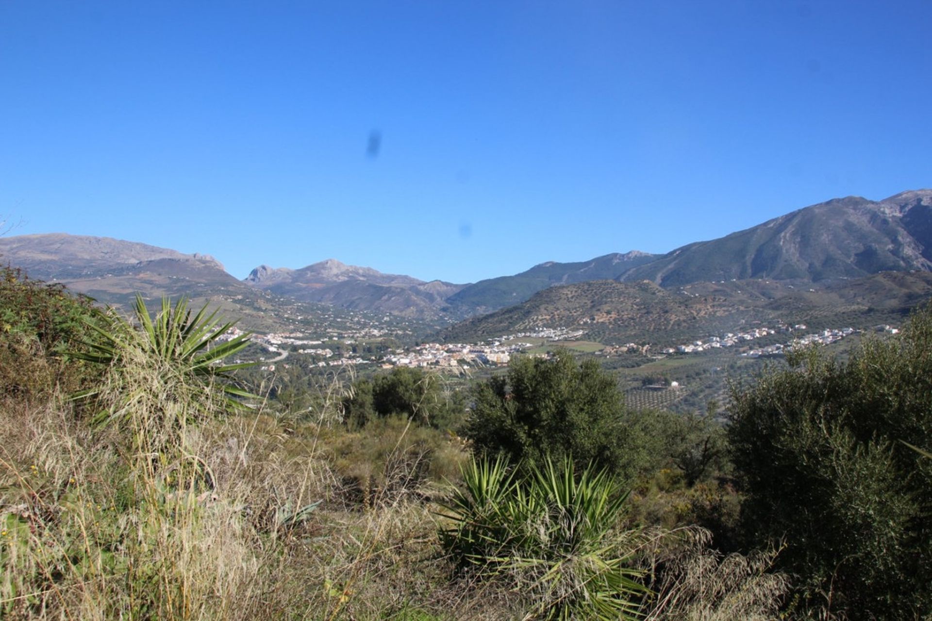 Terre dans Viñuela, Andalucía 10781599