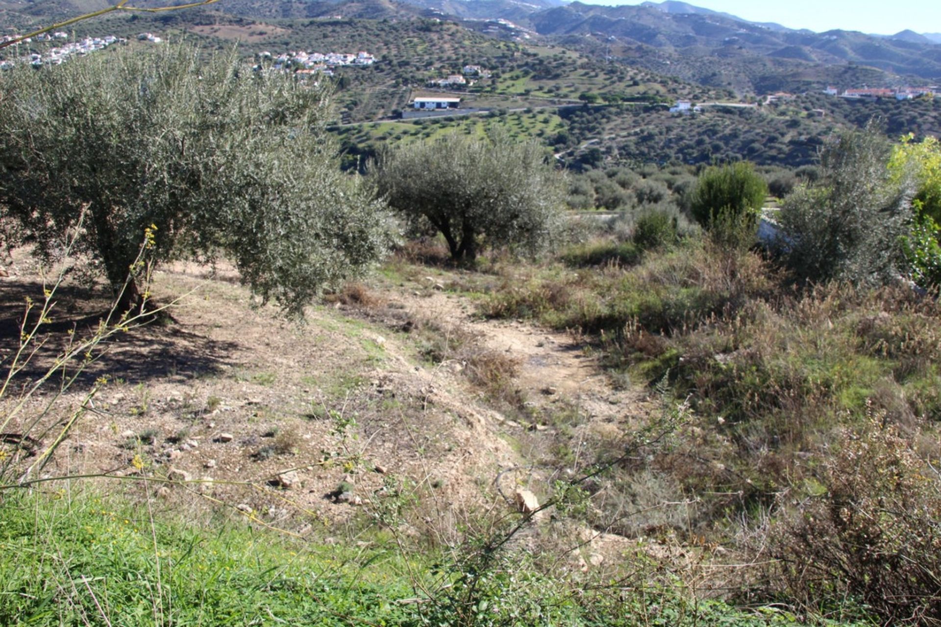 Tanah di Viñuela, Andalucía 10781599