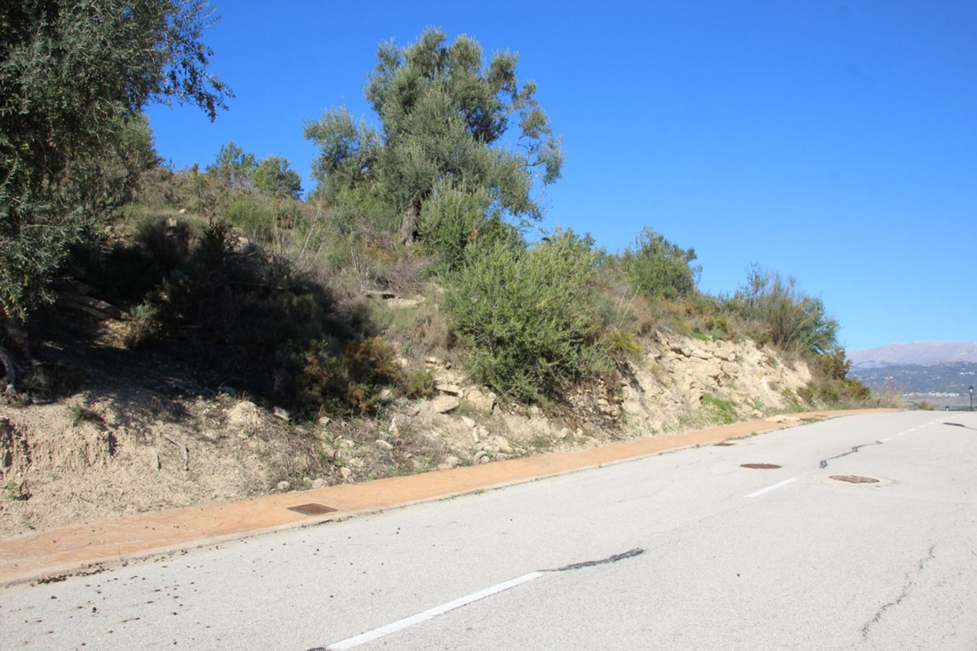 Terre dans Viñuela, Andalucía 10781599