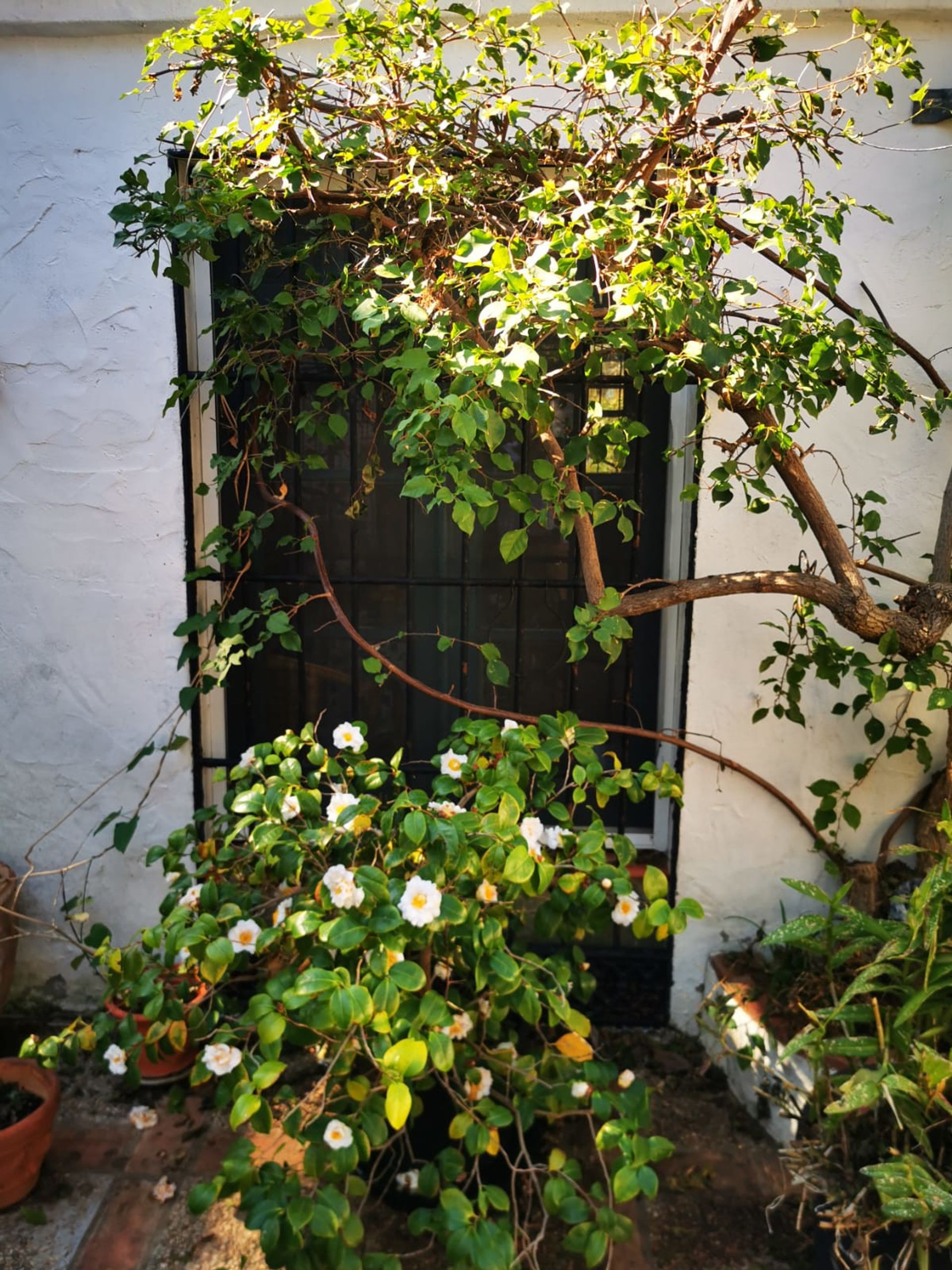 Huis in Alhaurín el Grande, Andalucía 10781693