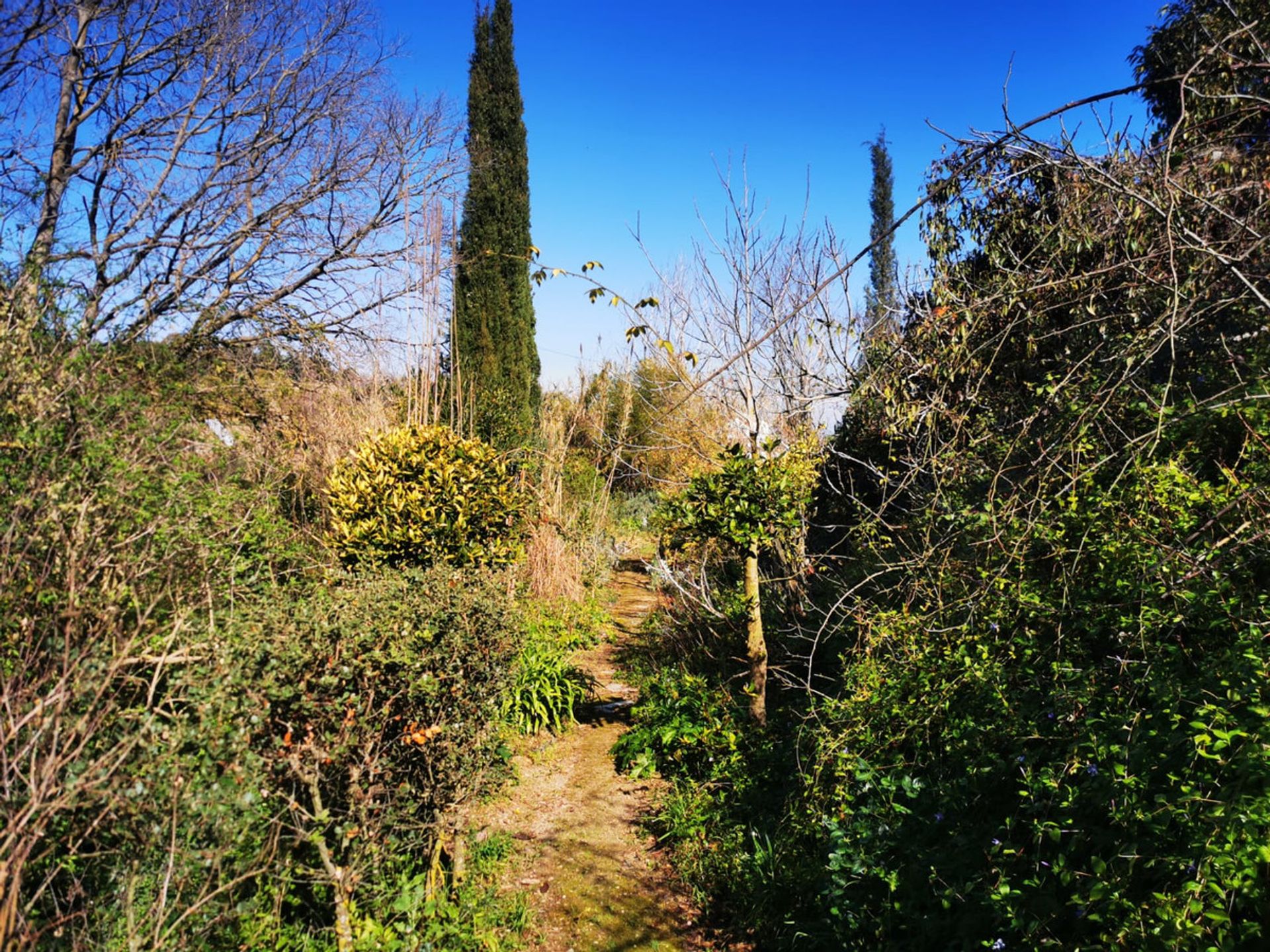 Huis in Alhaurin el Grande, Andalusië 10781693