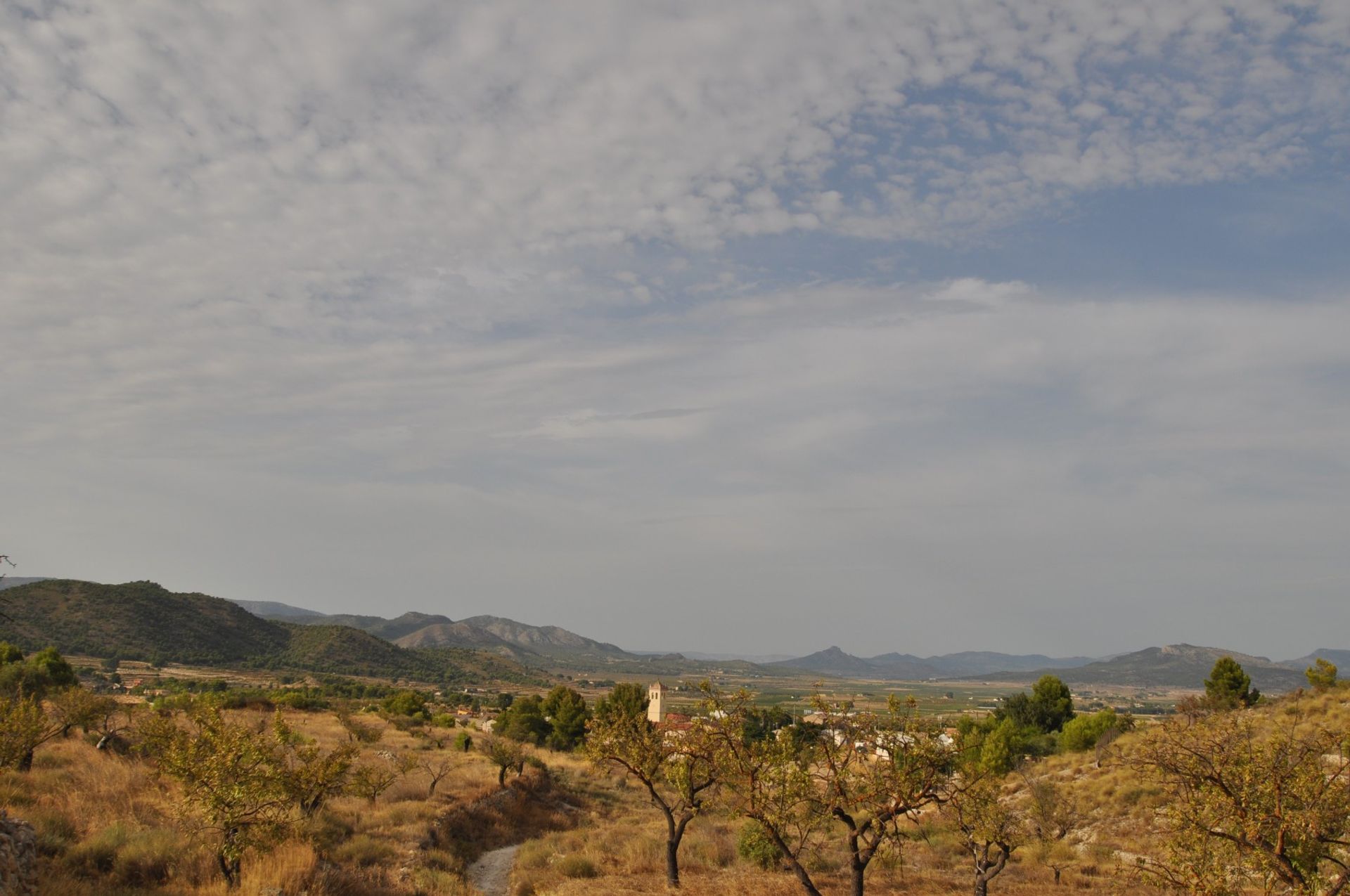 Land in Casas del Señor, Valencia 10781756